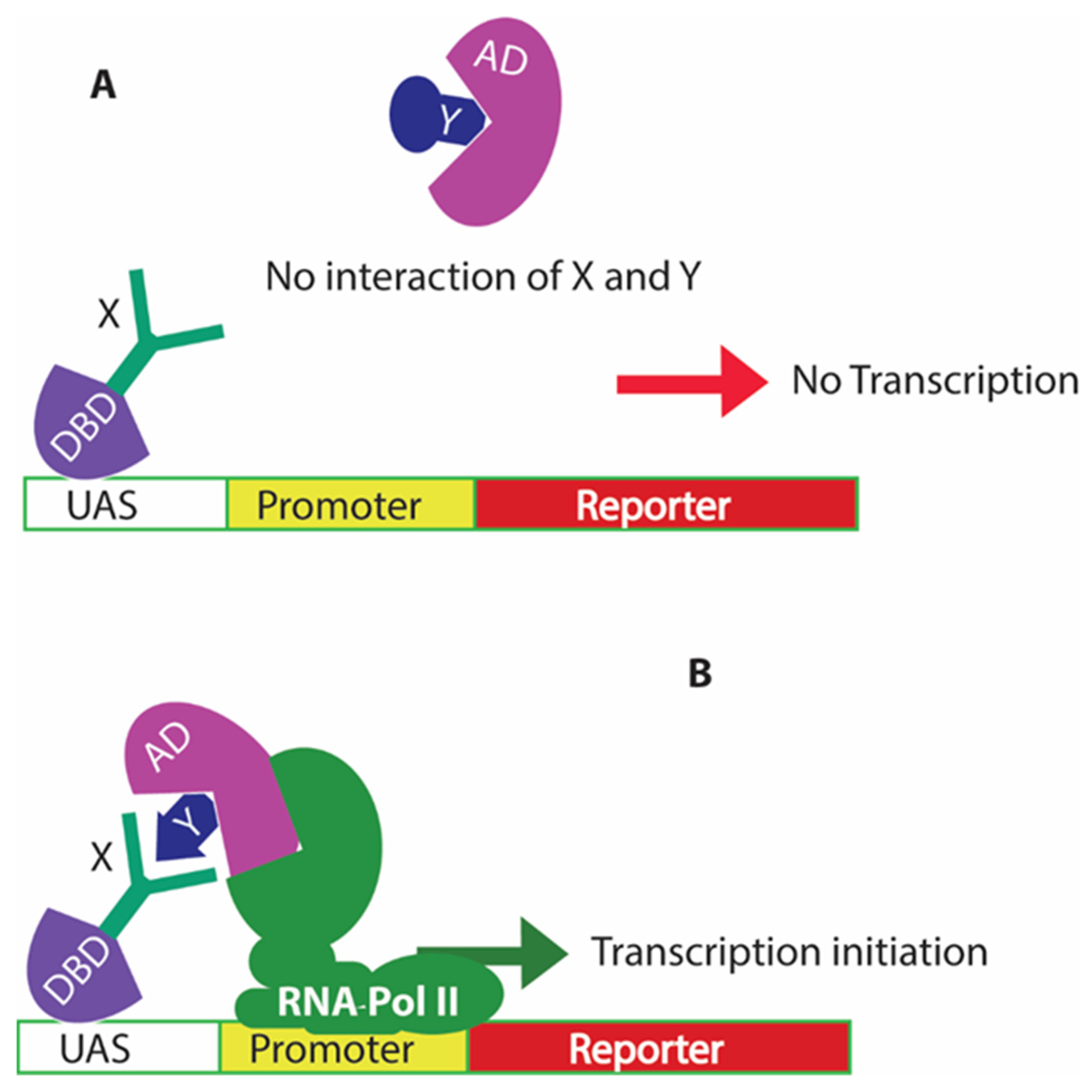 Microorganisms 10 01772 g001 Microorganisms 10 01772 g001