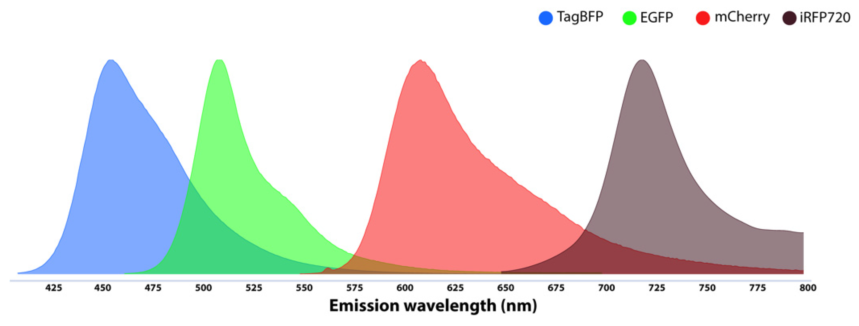 Microorganisms 10 01772 g004 Microorganisms 10 01772 g004