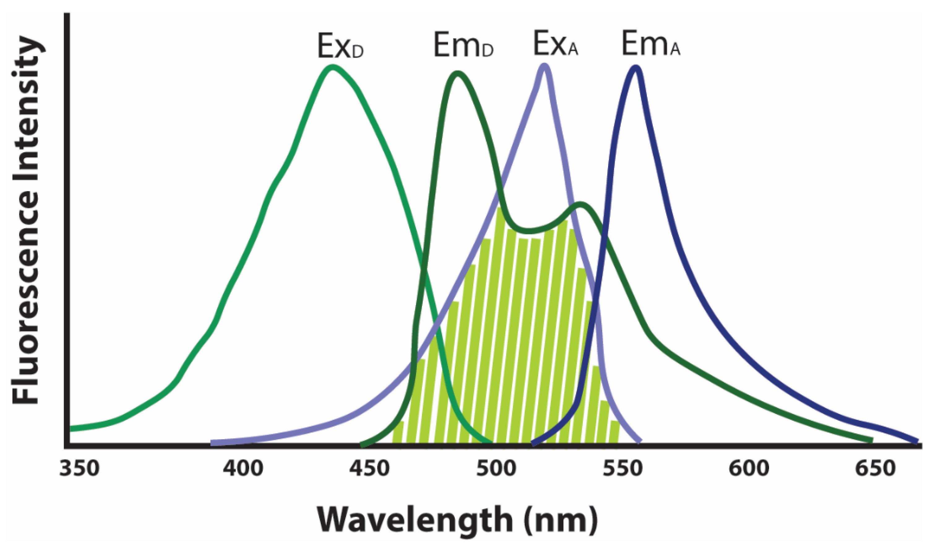 Microorganisms 10 01772 g007 Microorganisms 10 01772 g007