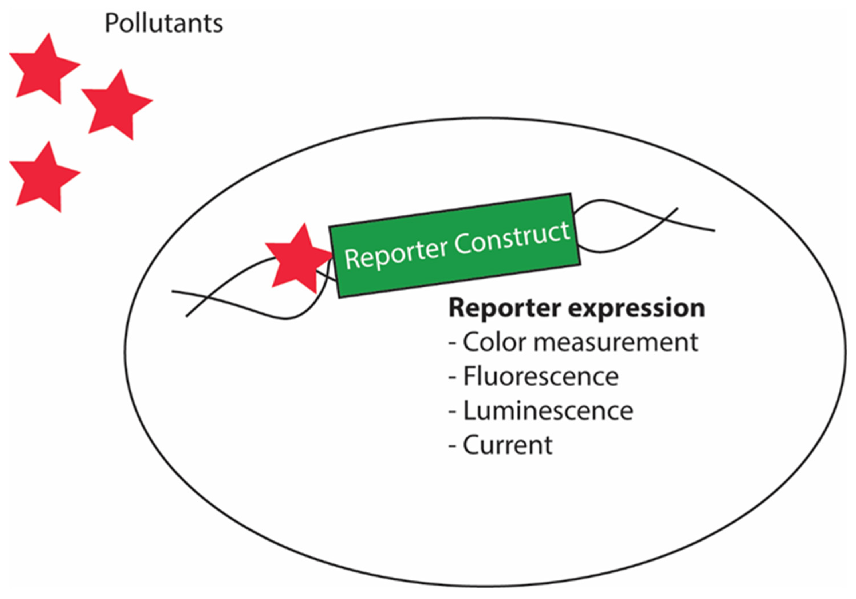 Microorganisms 10 01772 g008 Microorganisms 10 01772 g008