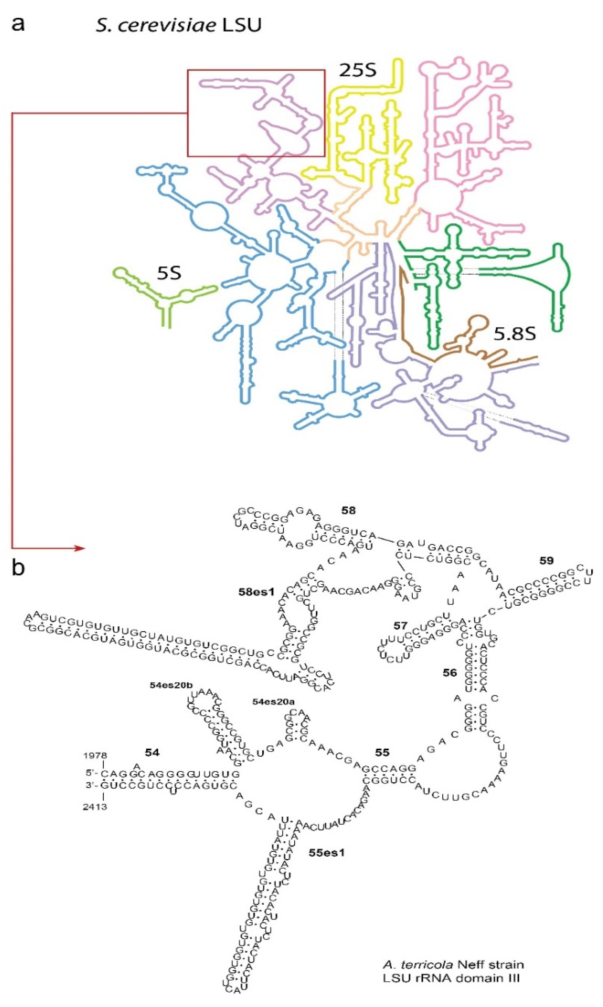 Microorganisms 10 01776 g001 Microorganisms 10 01776 g001
