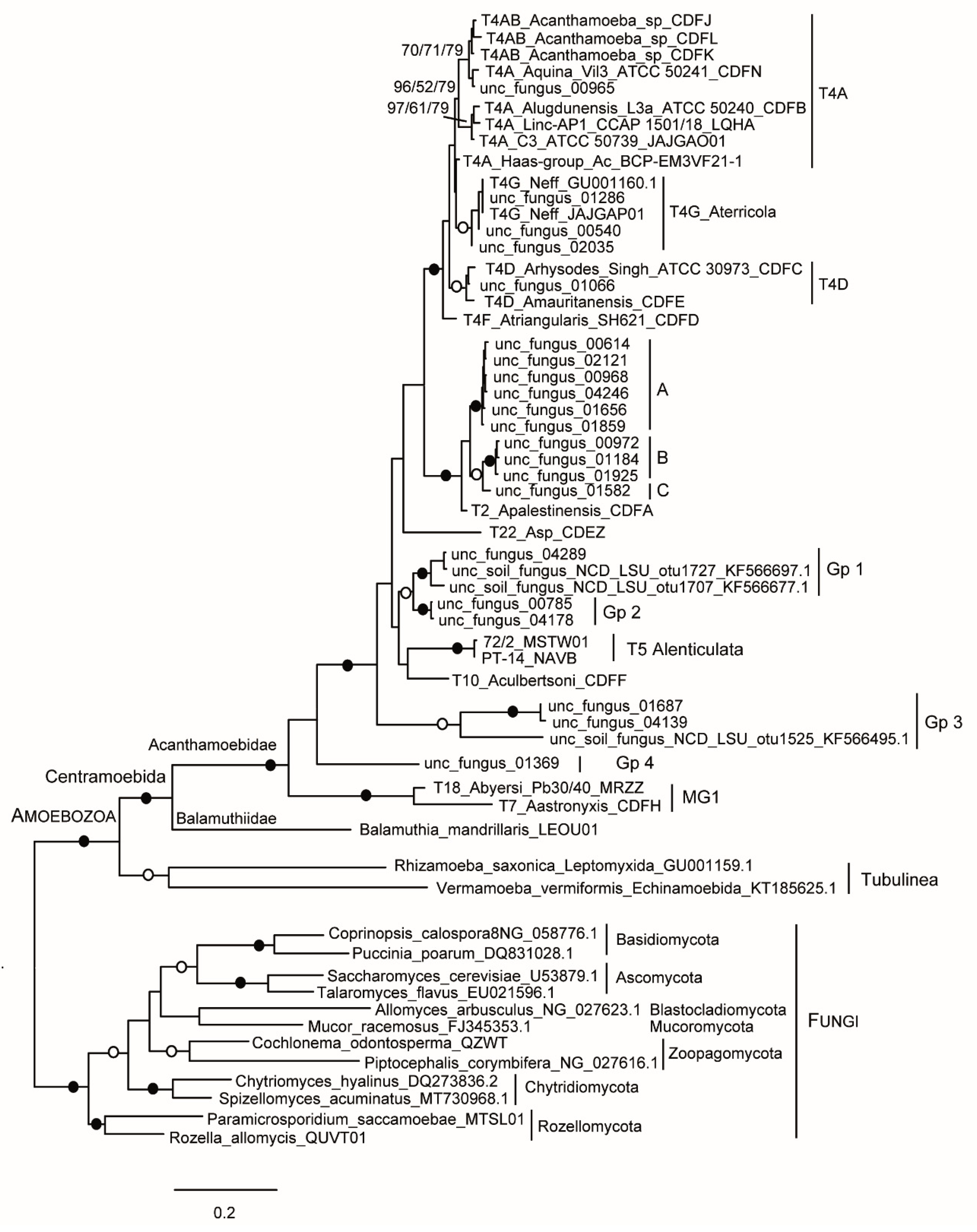 Microorganisms 10 01776 g002 Microorganisms 10 01776 g002
