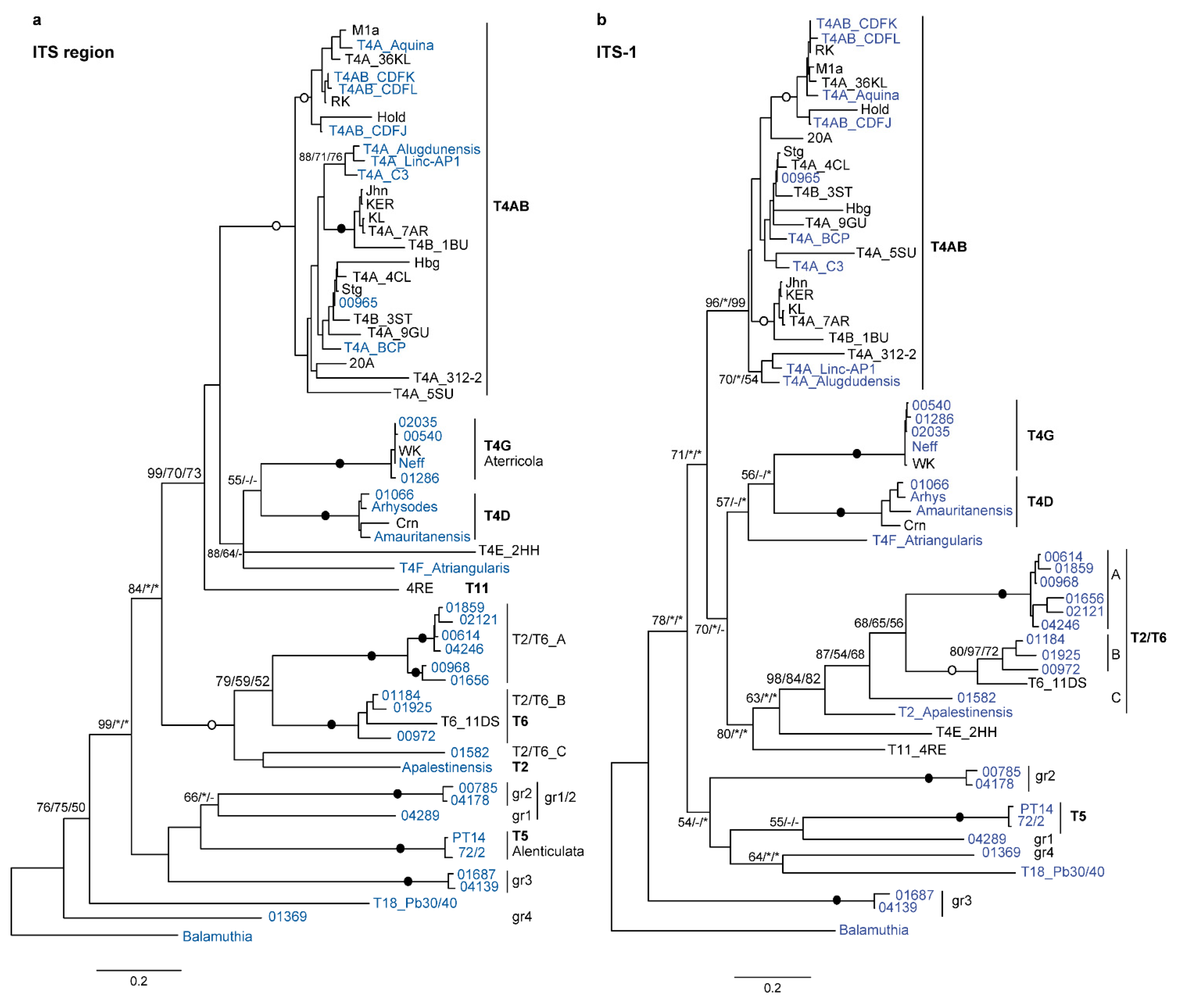Microorganisms 10 01776 g003 Microorganisms 10 01776 g003