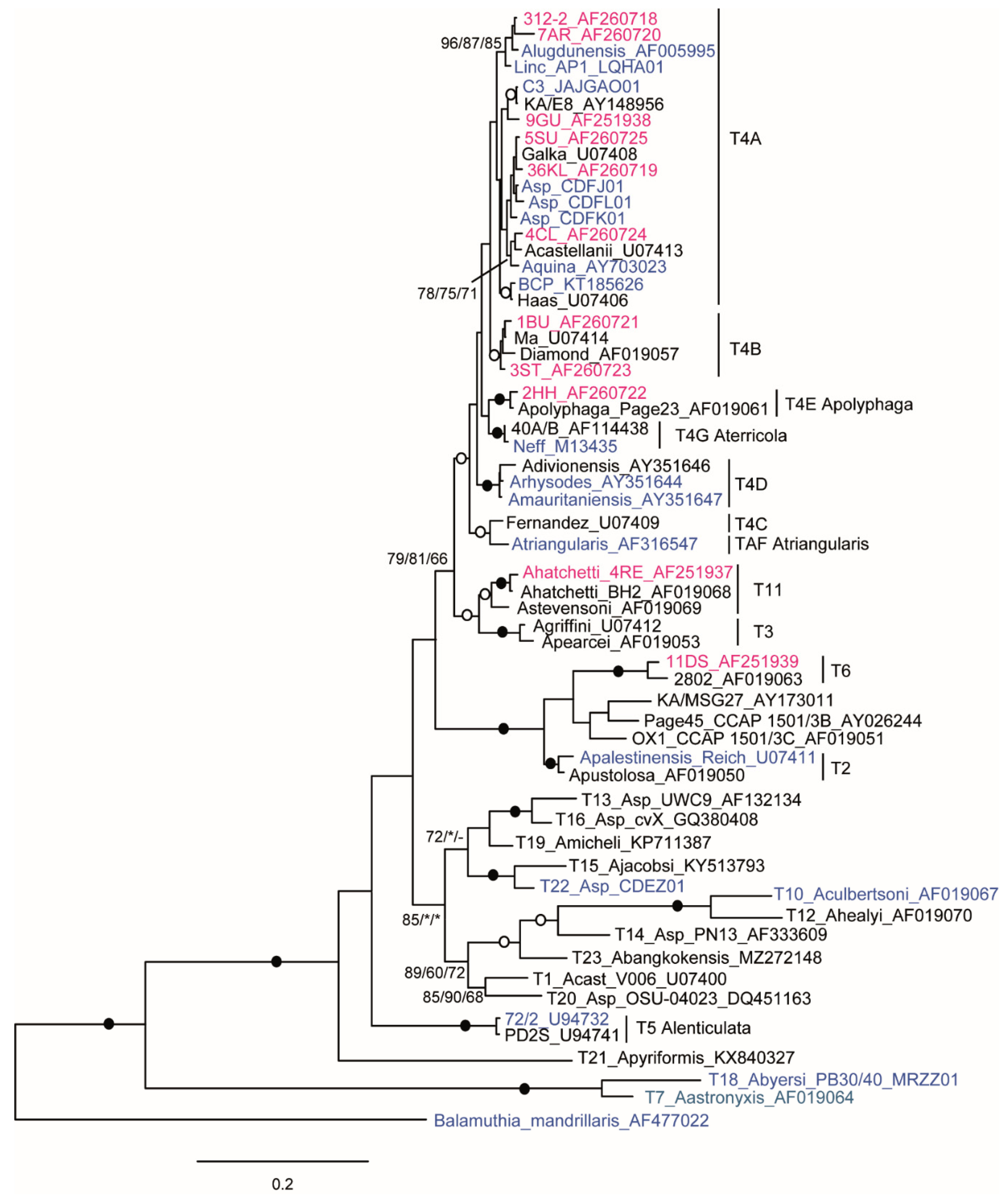 Microorganisms 10 01776 g004 Microorganisms 10 01776 g004