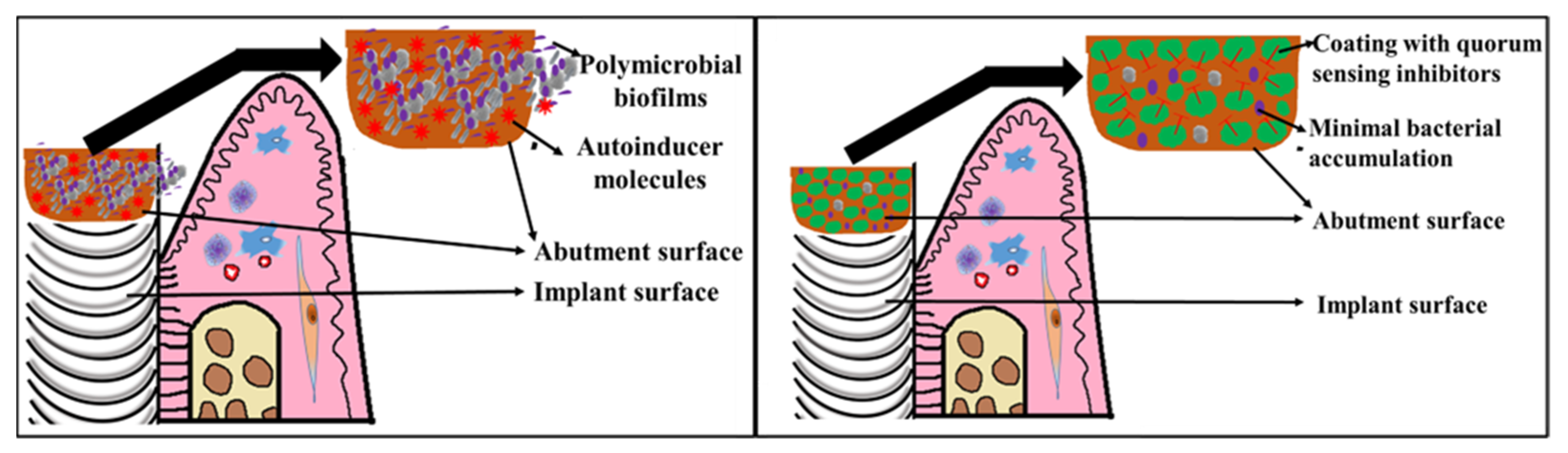 Microorganisms 10 01783 g004 550