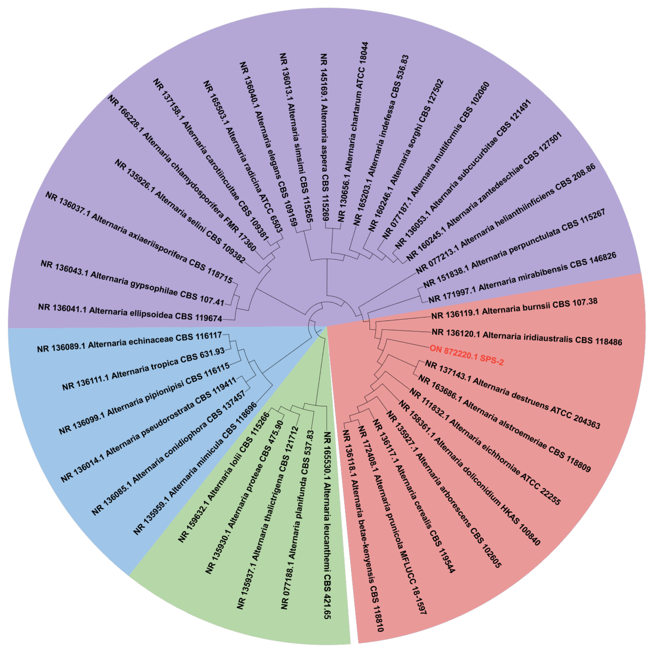 Microorganisms 10 01789 g002 550