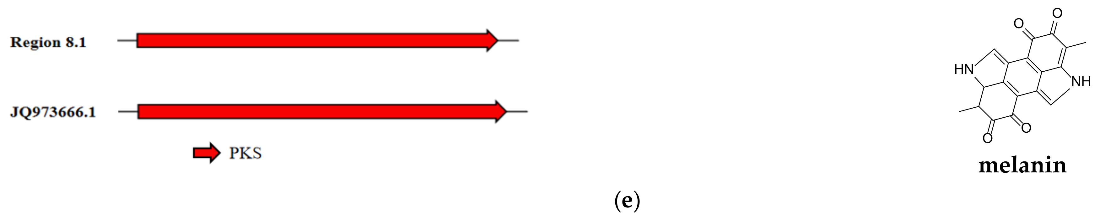 Microorganisms 10 01789 g007b 550