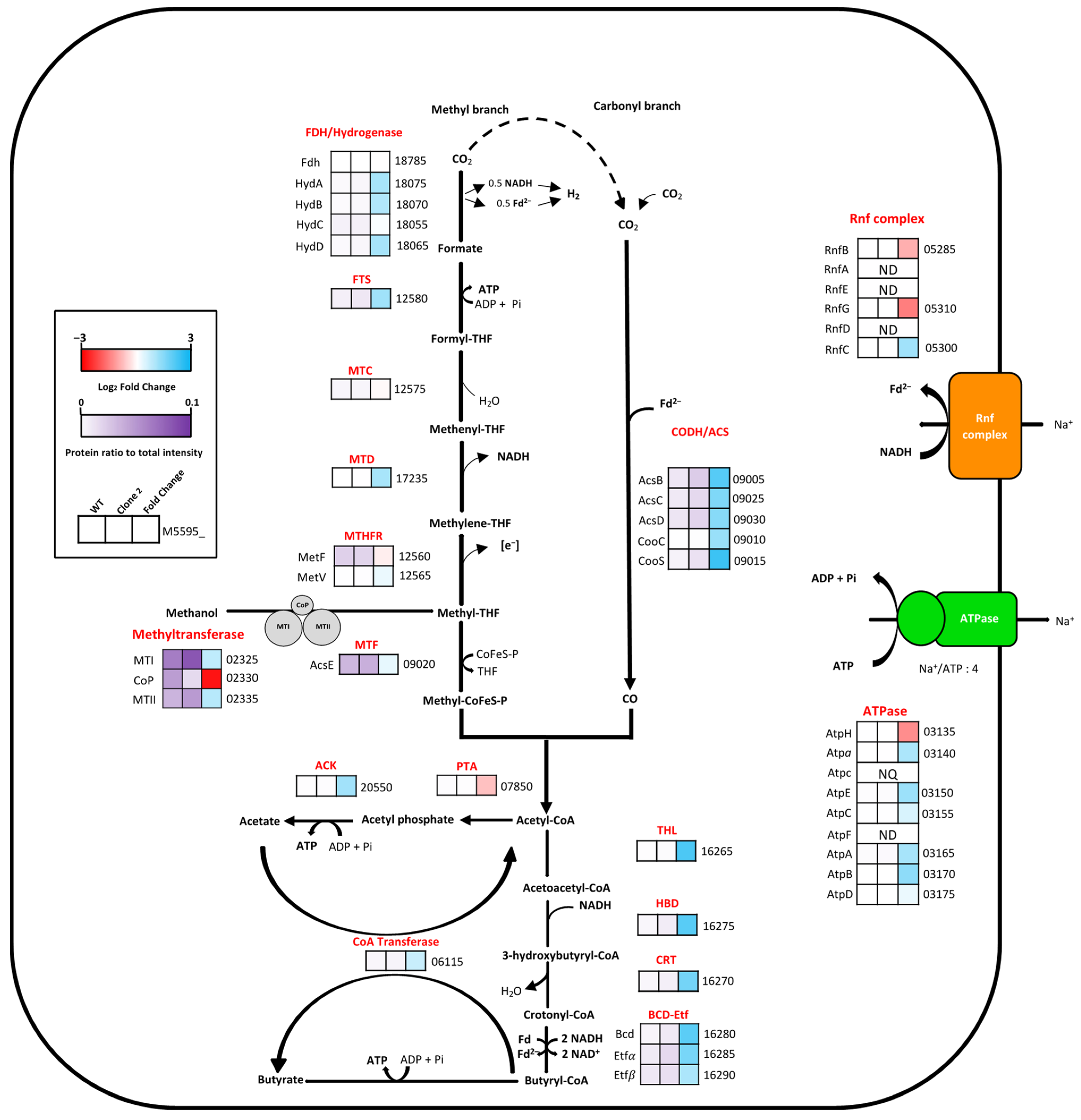 Microorganisms 10 01790 g010
