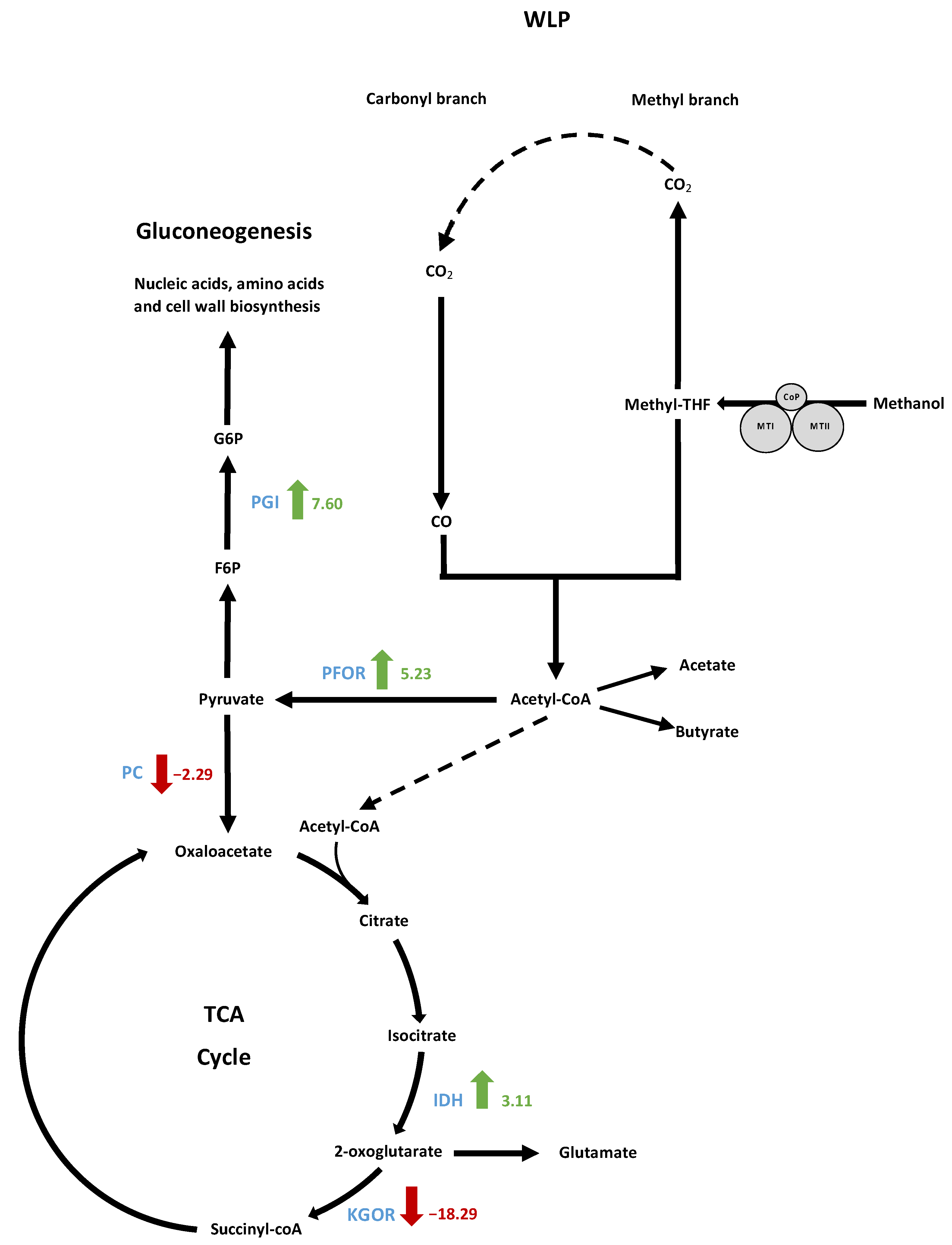 Microorganisms 10 01790 g011