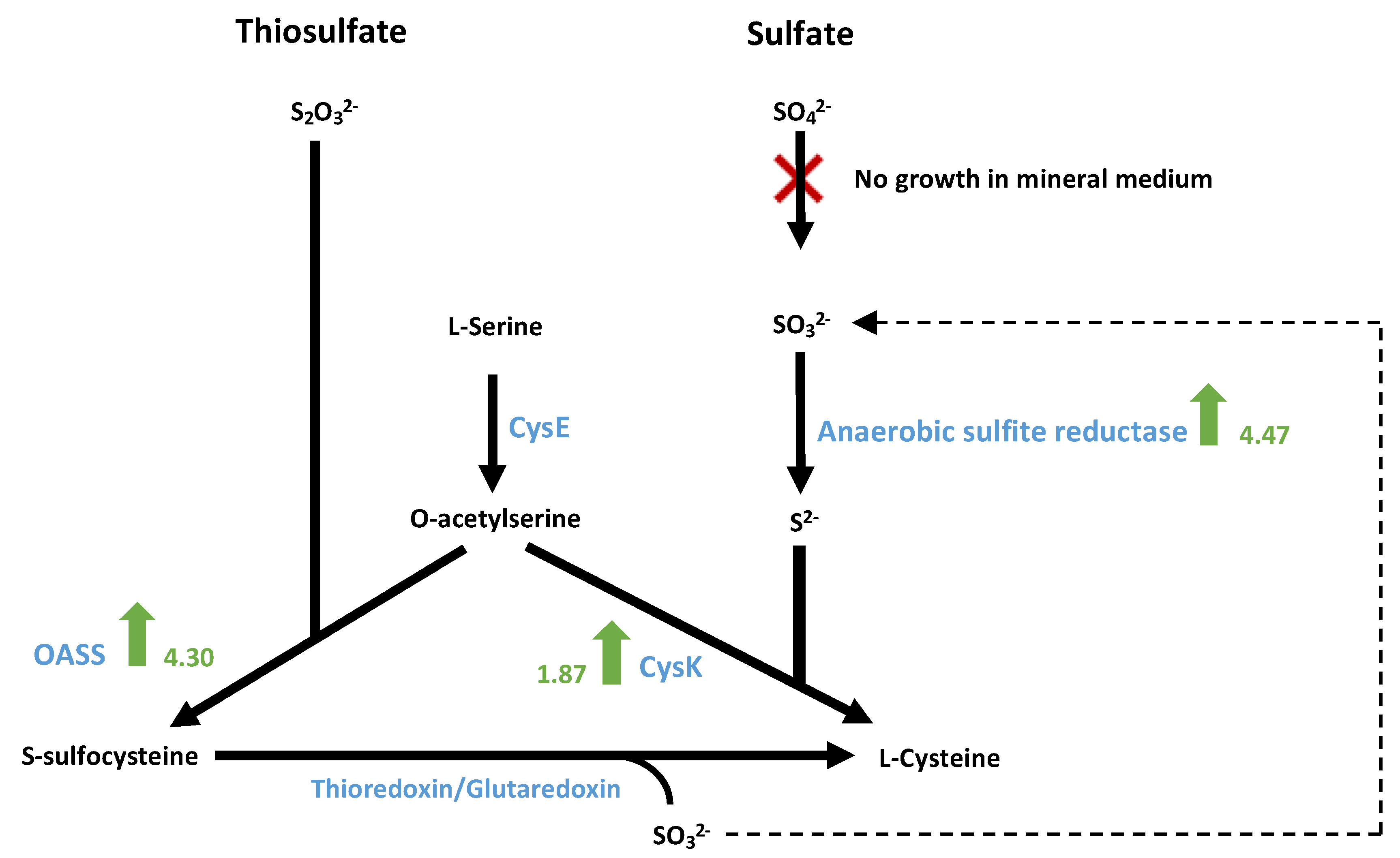 Microorganisms 10 01790 g012