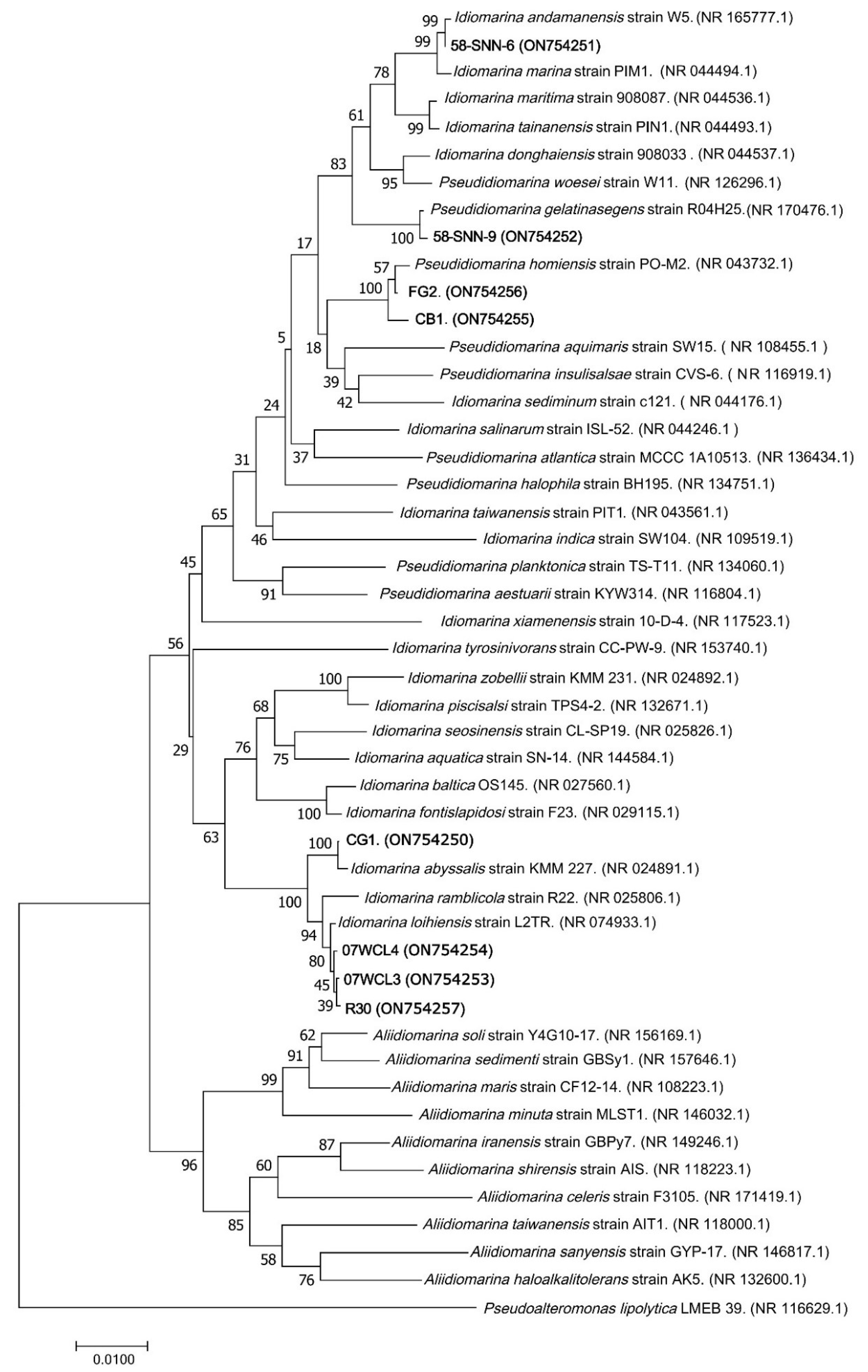 Microorganisms 10 01797 g004 550