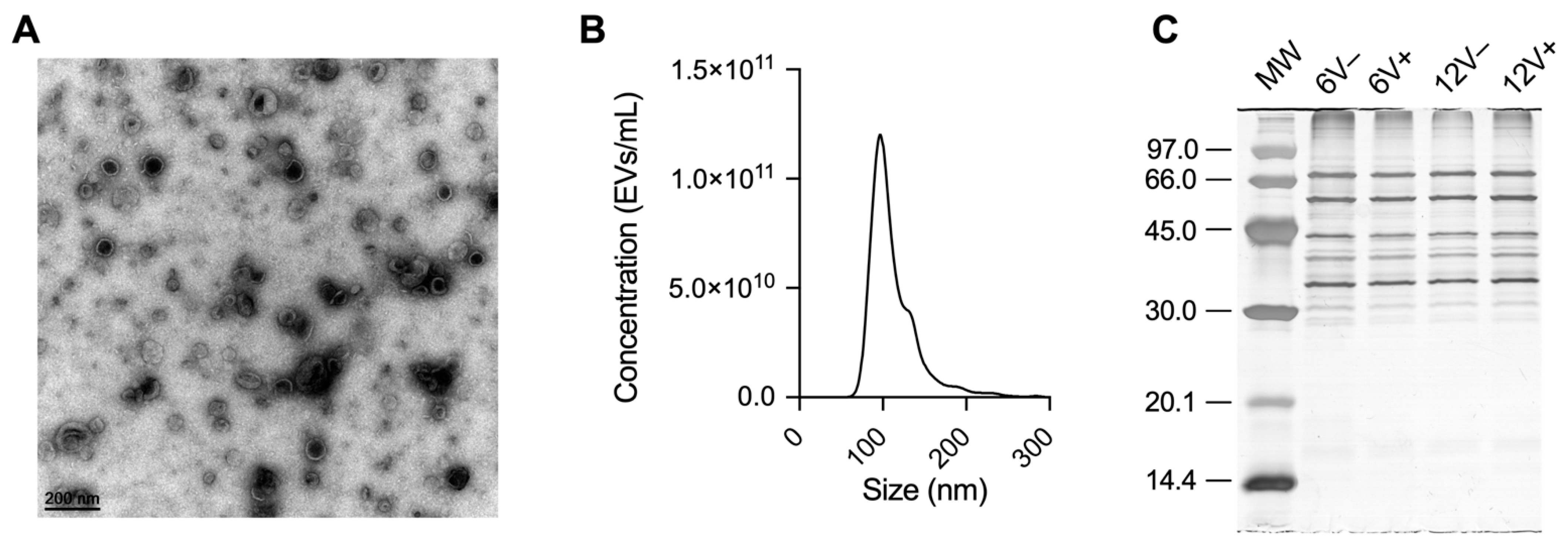 Microorganisms 10 01808 g001 550