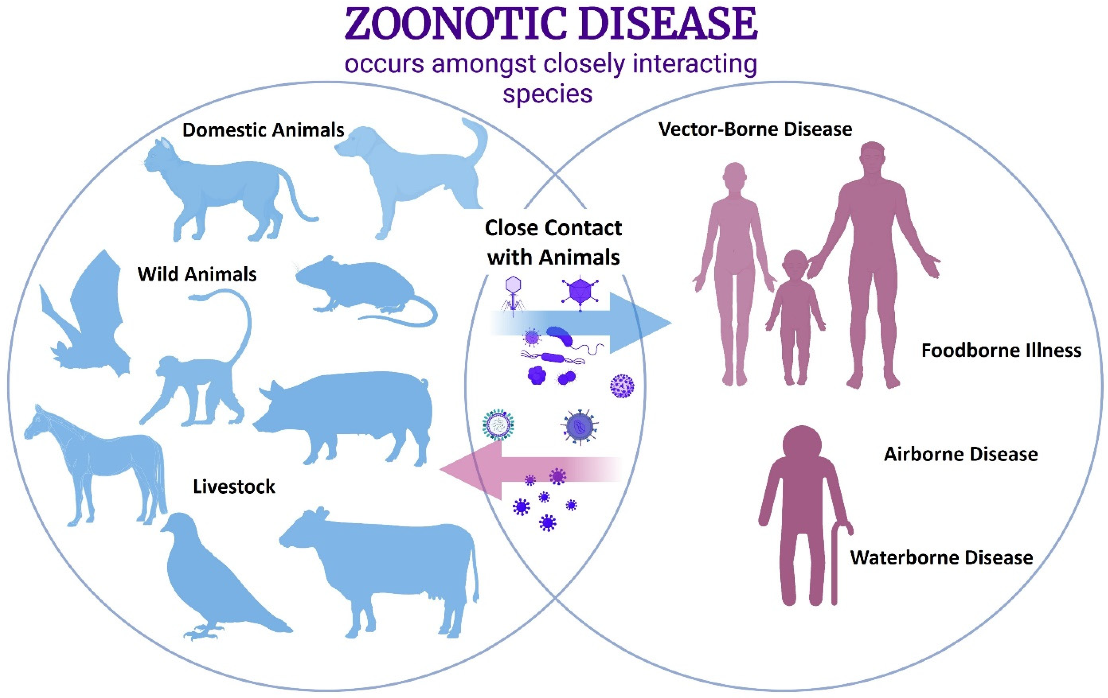 Microorganisms | Free Full-Text | Phylogenetic Diversity of Animal Oral and  Gastrointestinal Viromes Useful in Surveillance of Zoonoses