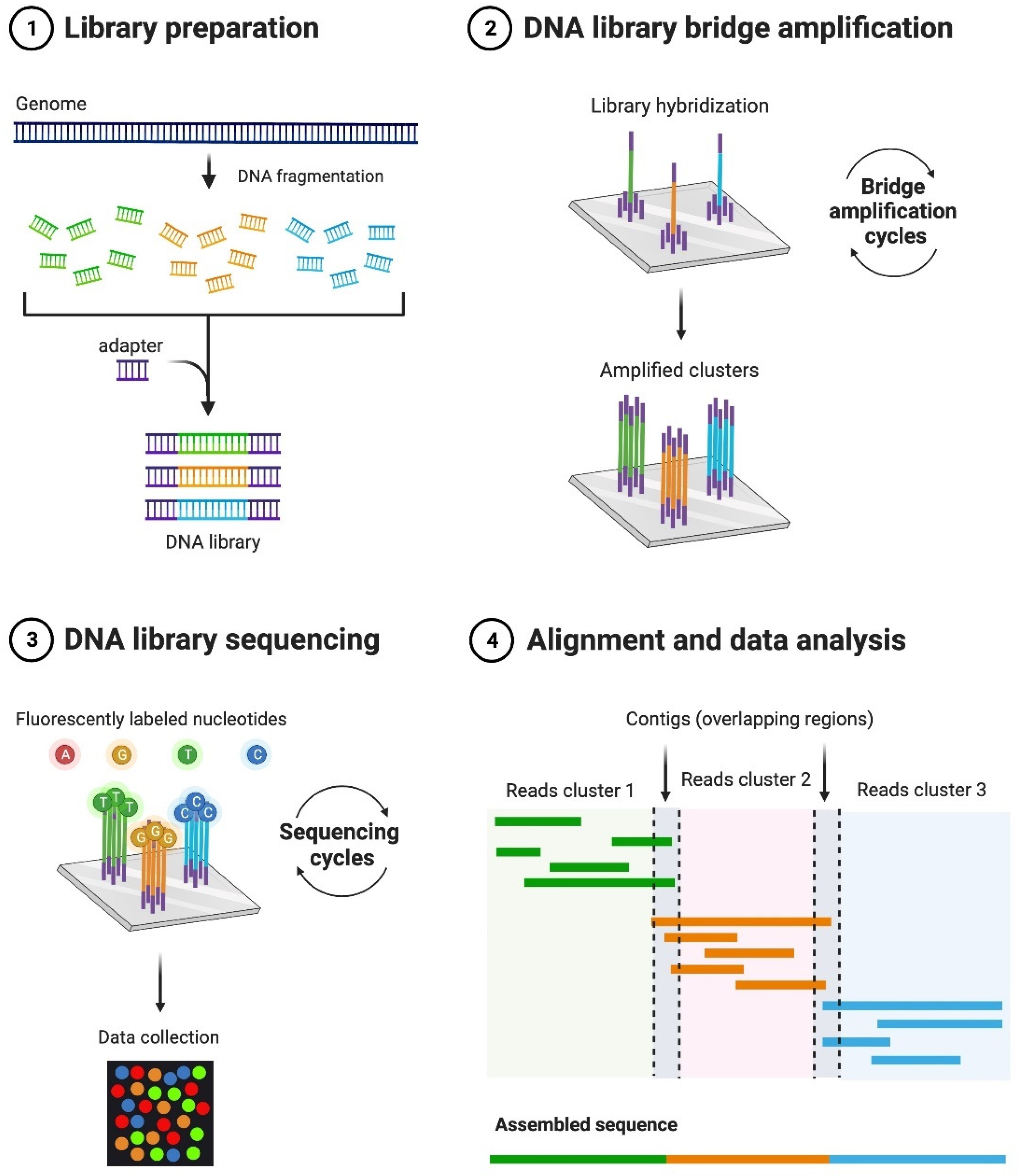 Microorganisms 10 01815 g002