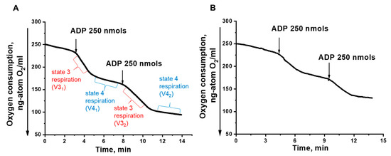 The First Yarrowia lipolytica Yeast Models Expressing