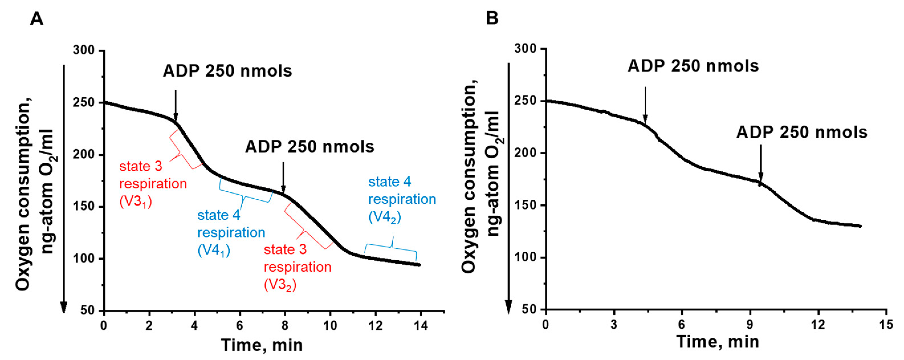 Microorganisms 10 01817 g004 550