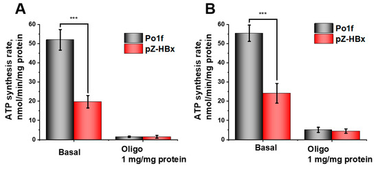The First Yarrowia lipolytica Yeast Models Expressing
