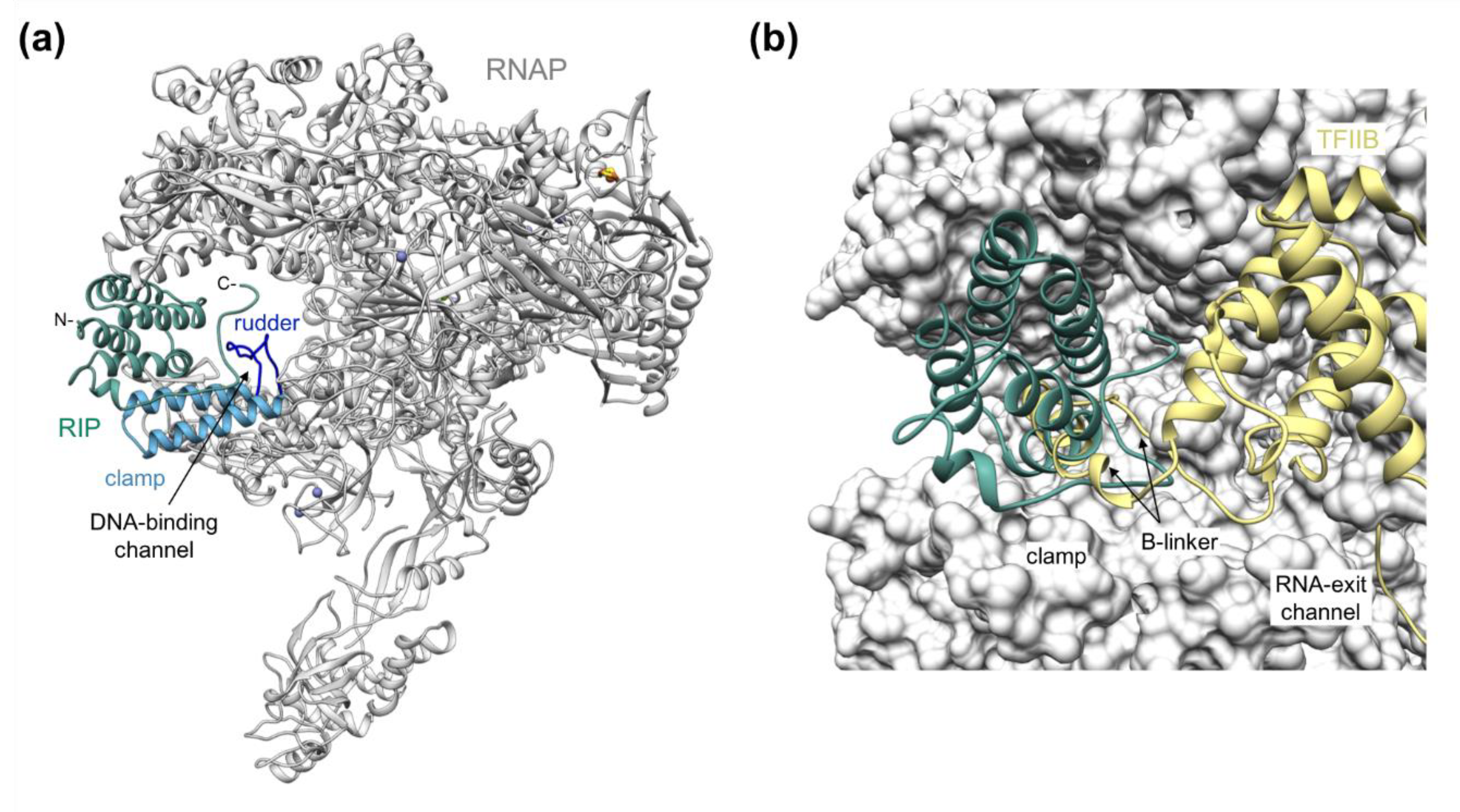 Microorganisms 10 01824 g002 550