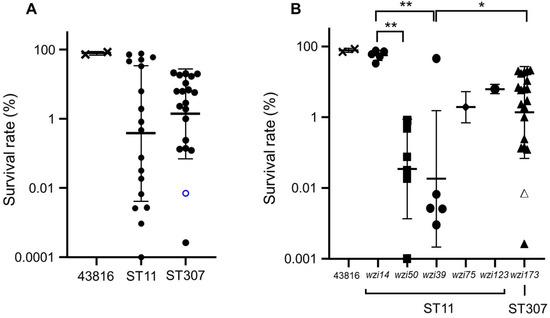 Comparison of Virulence between Two Main Clones (ST11 and ST307) of ...