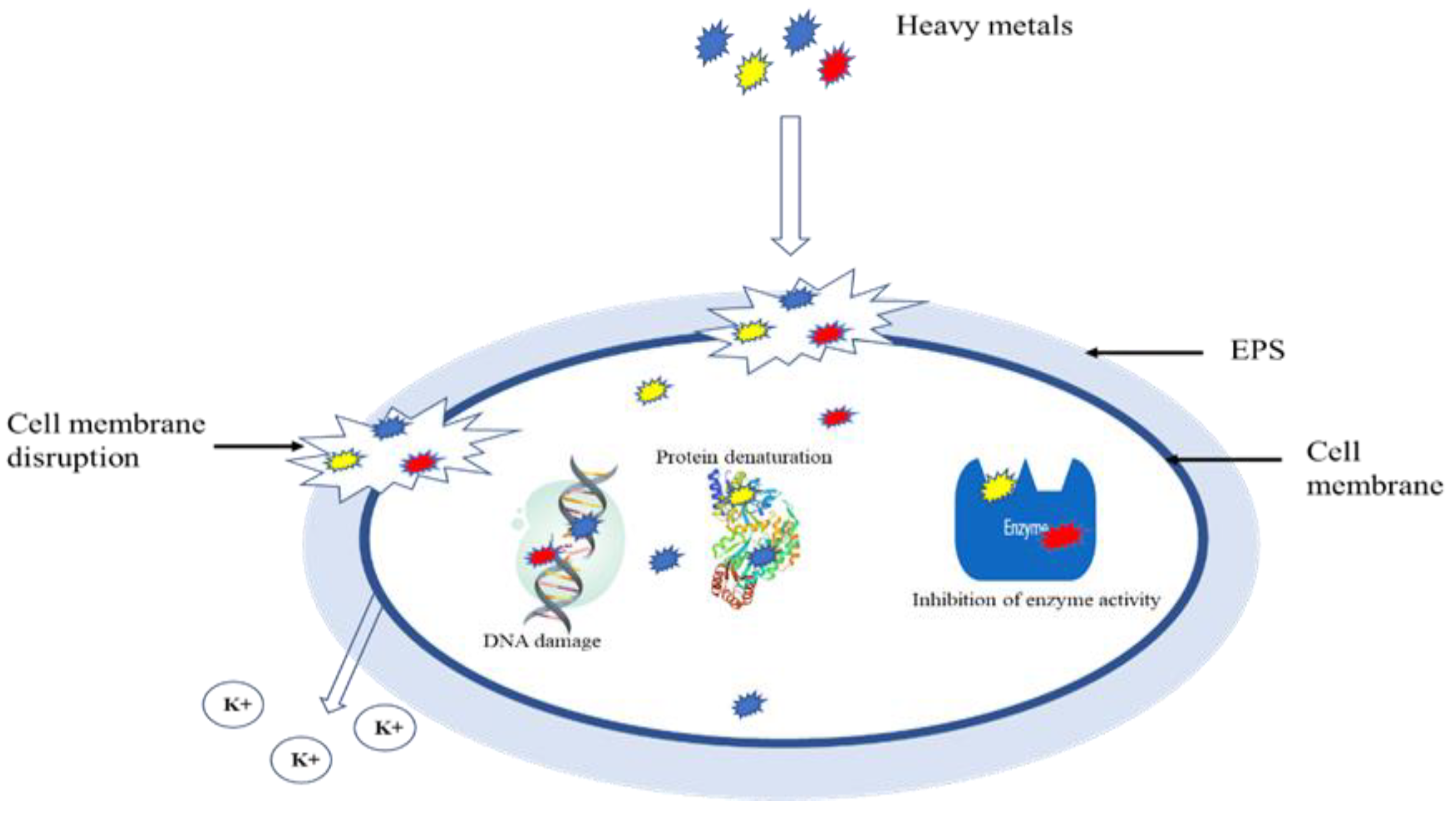 Microorganisms 10 01834 g002 550