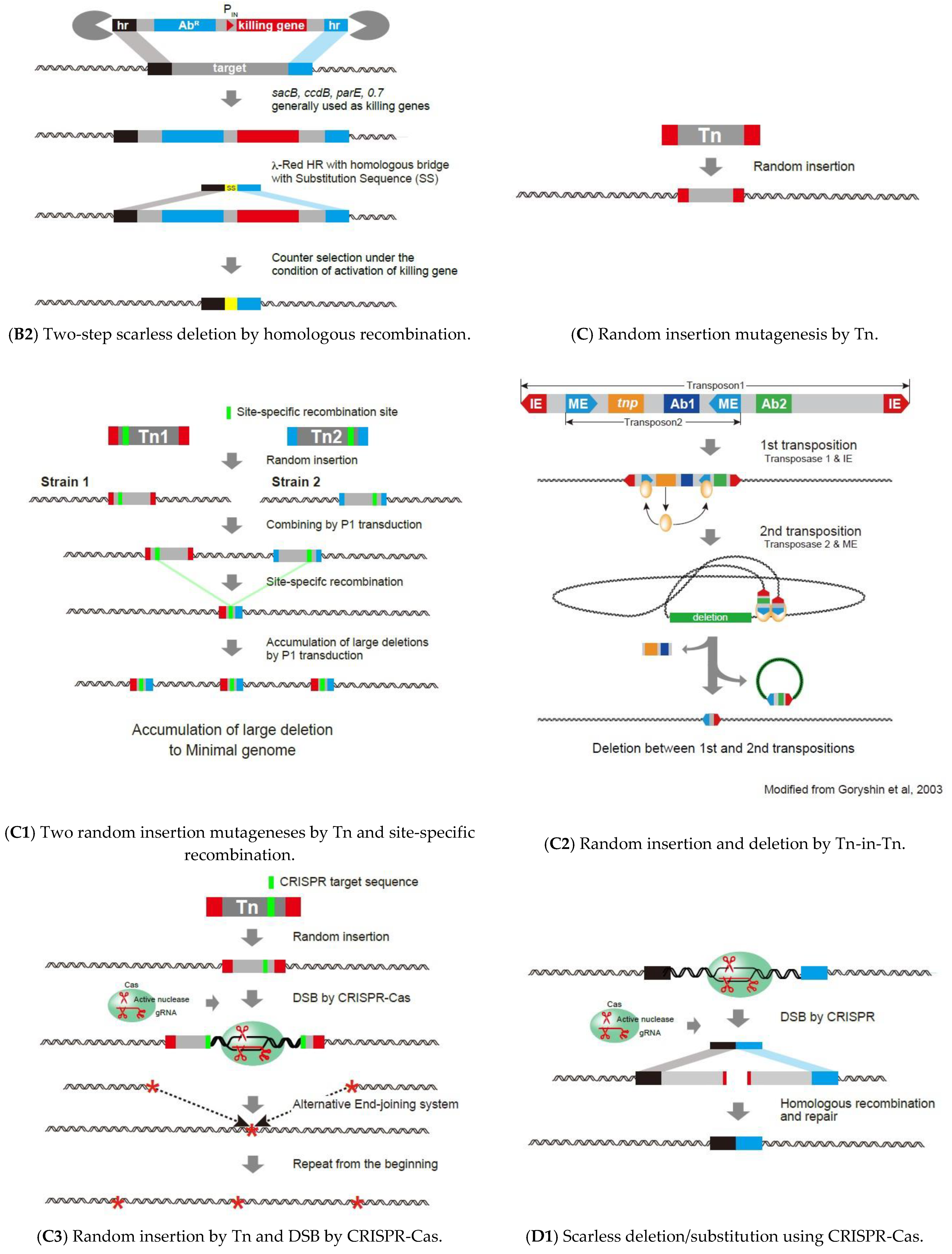 Microorganisms 10 01835 g001b