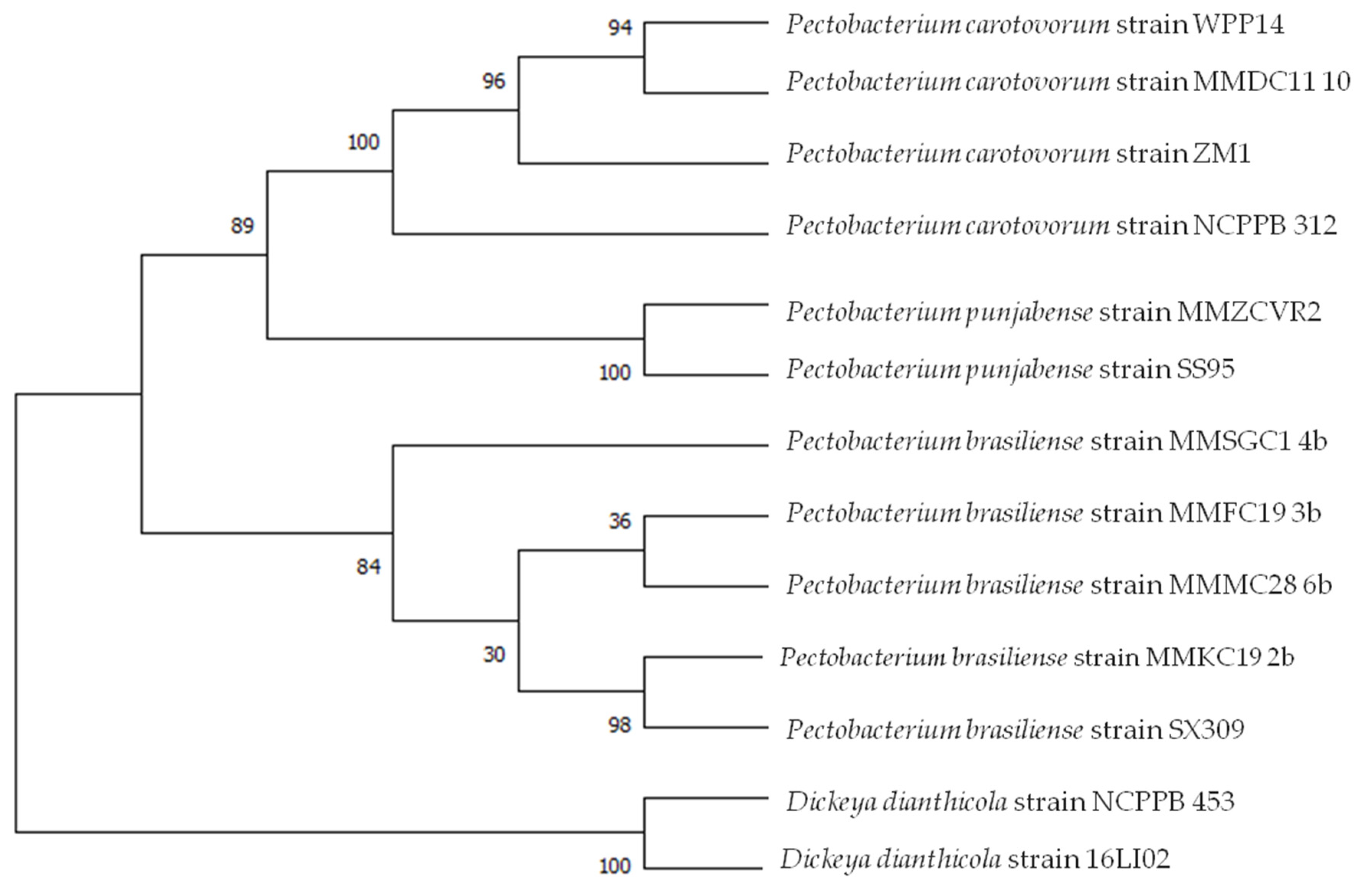 Microorganisms 10 01840 g002