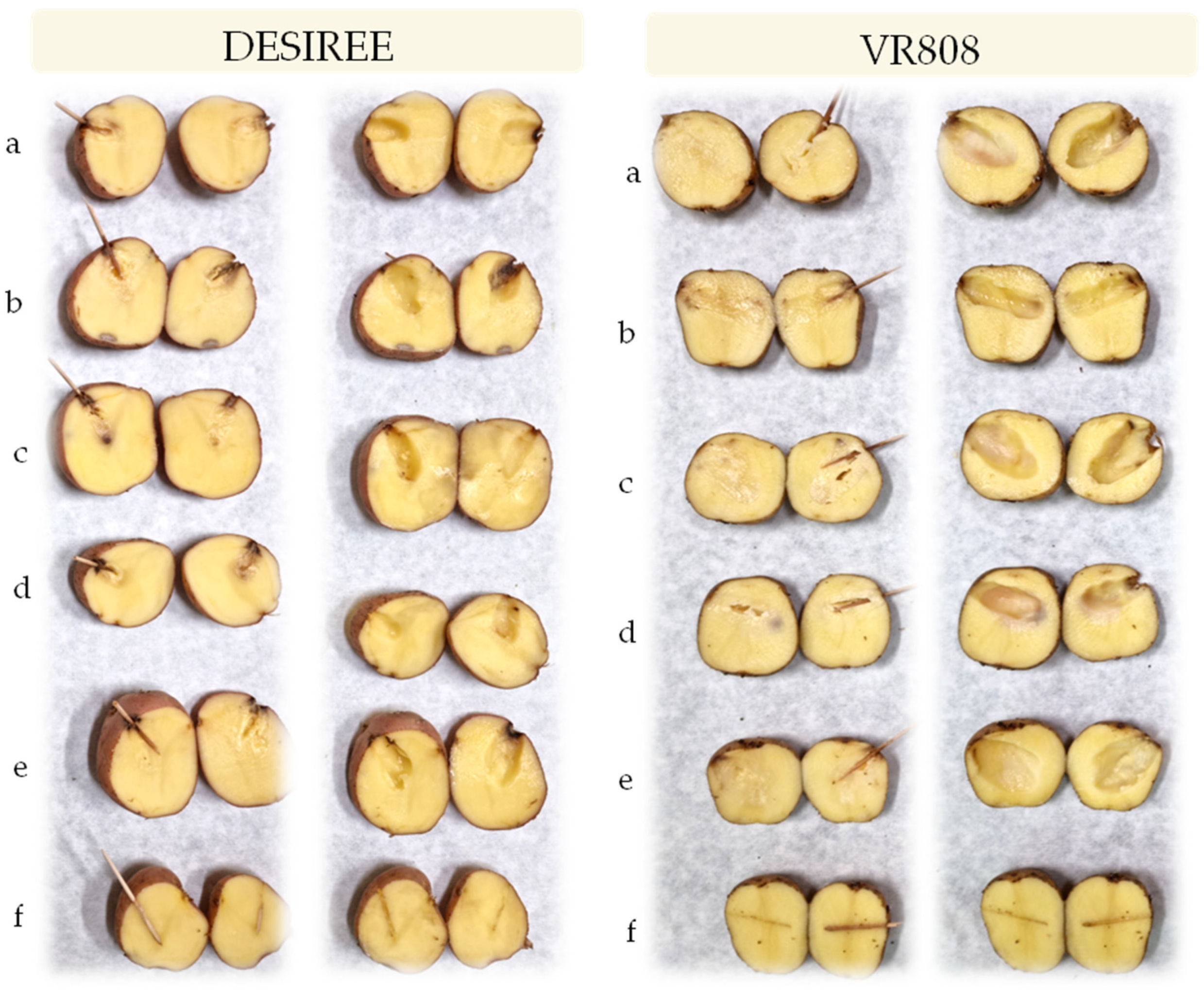 Microorganisms 10 01840 g004