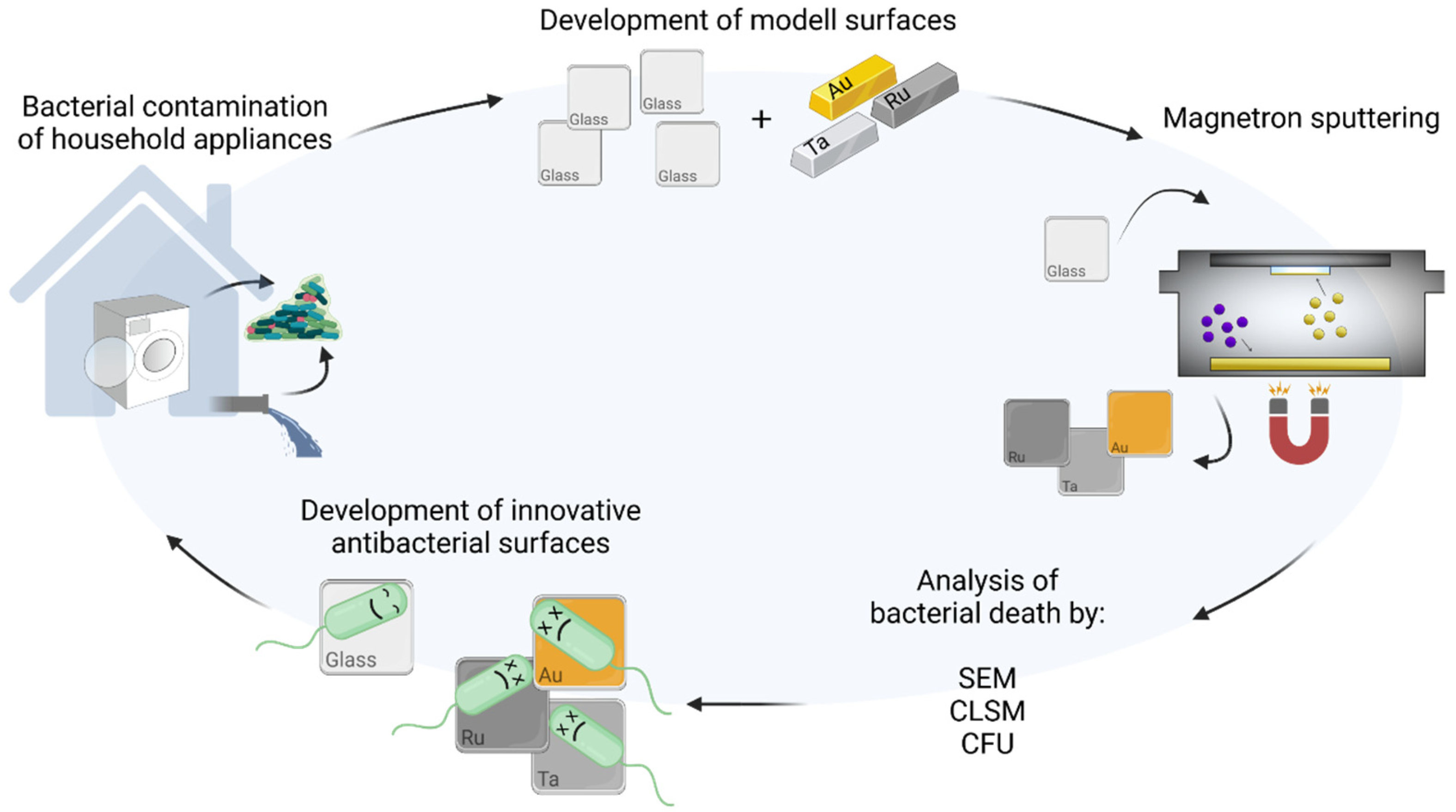 Microorganisms 10 01843 g001 550