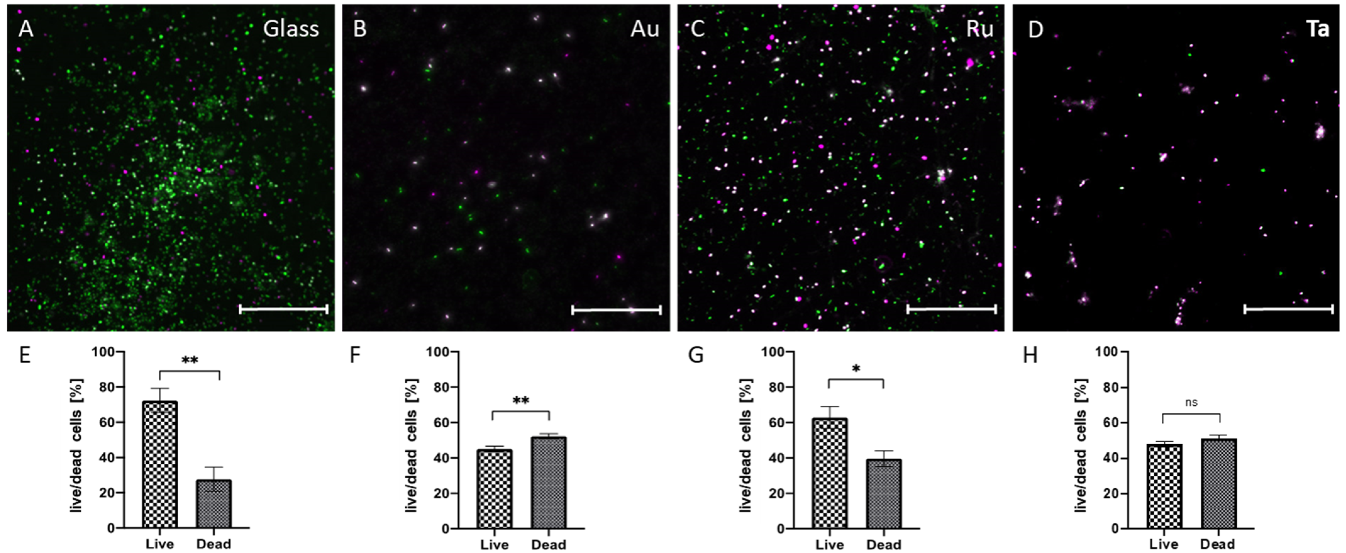Microorganisms 10 01843 g005 550