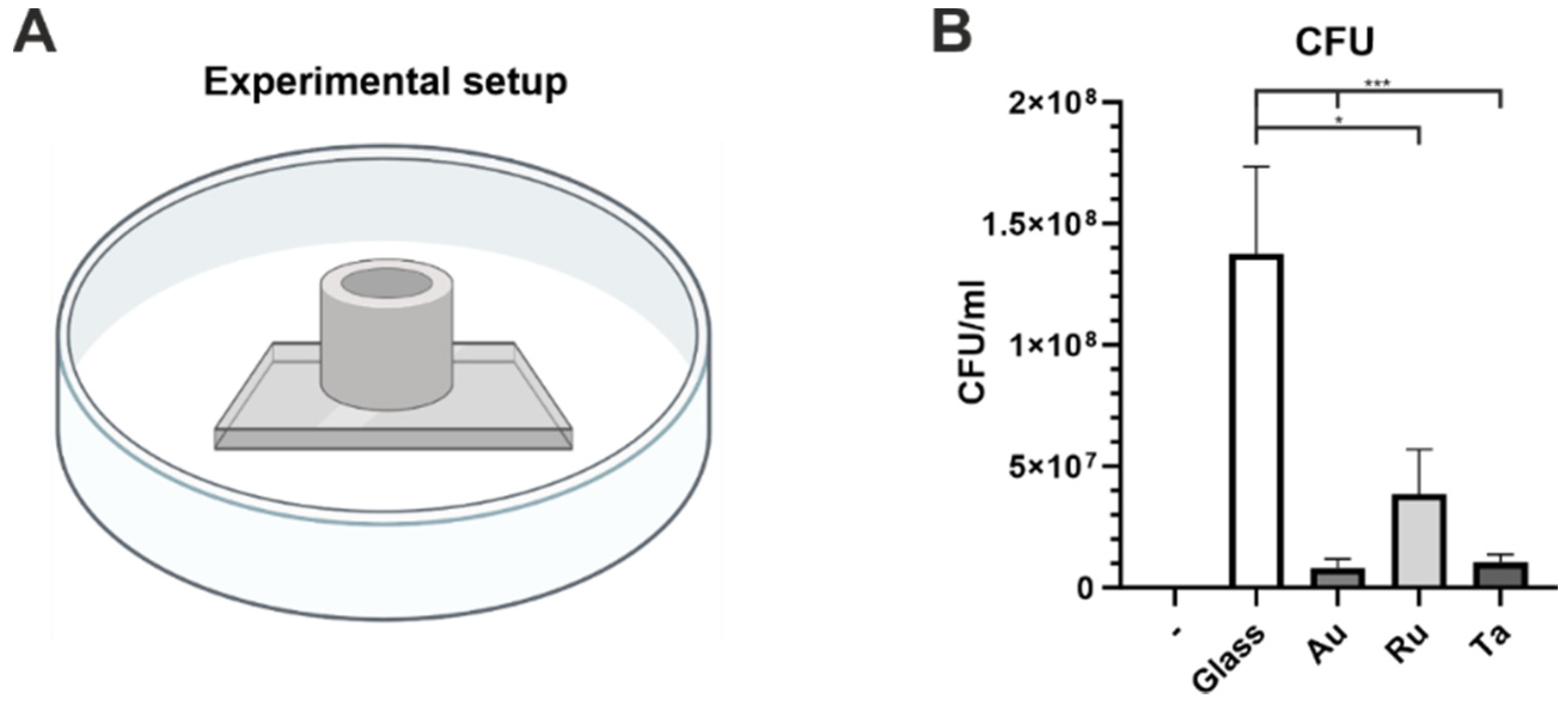Microorganisms 10 01843 g006 550