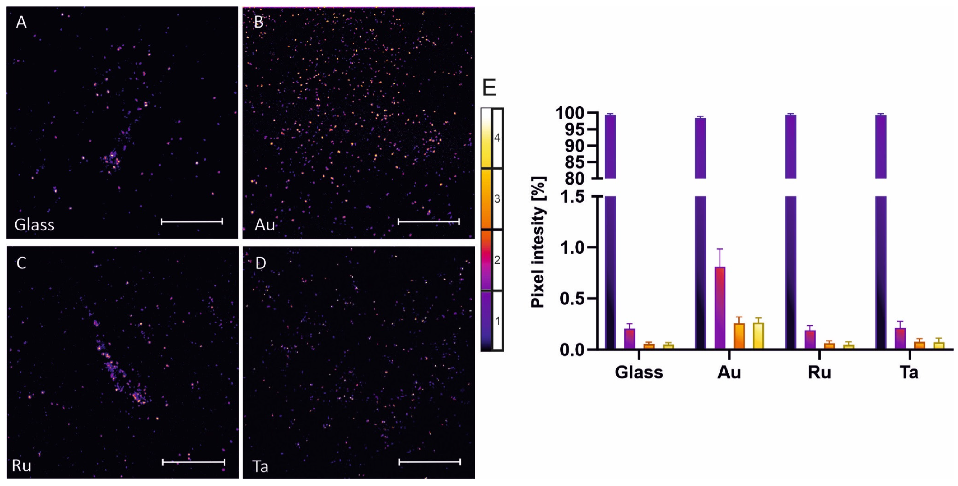 Microorganisms 10 01843 g007 550