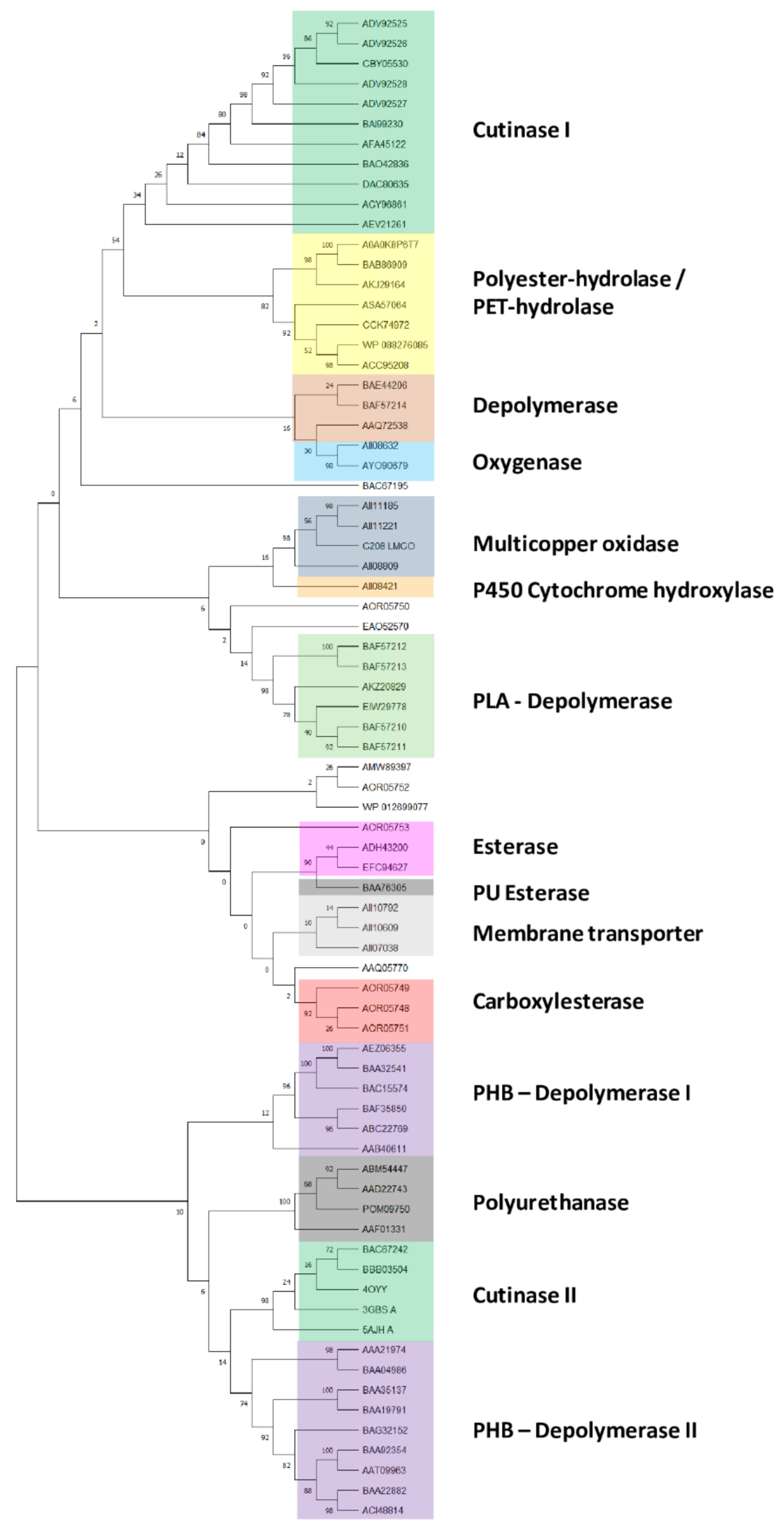 Microorganisms 10 01846 g001 550