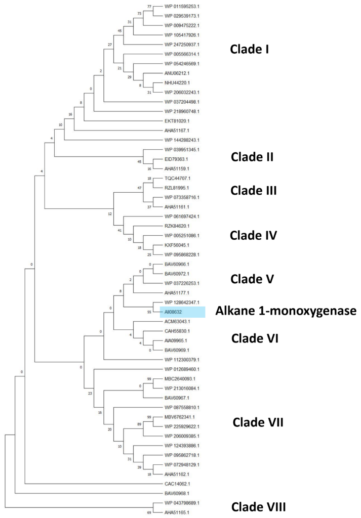 Microorganisms 10 01846 g008 550