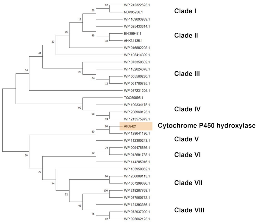Microorganisms 10 01846 g009 550