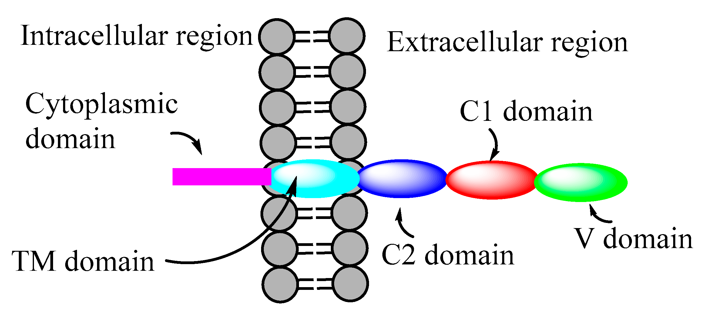 Microorganisms 10 01848 g003