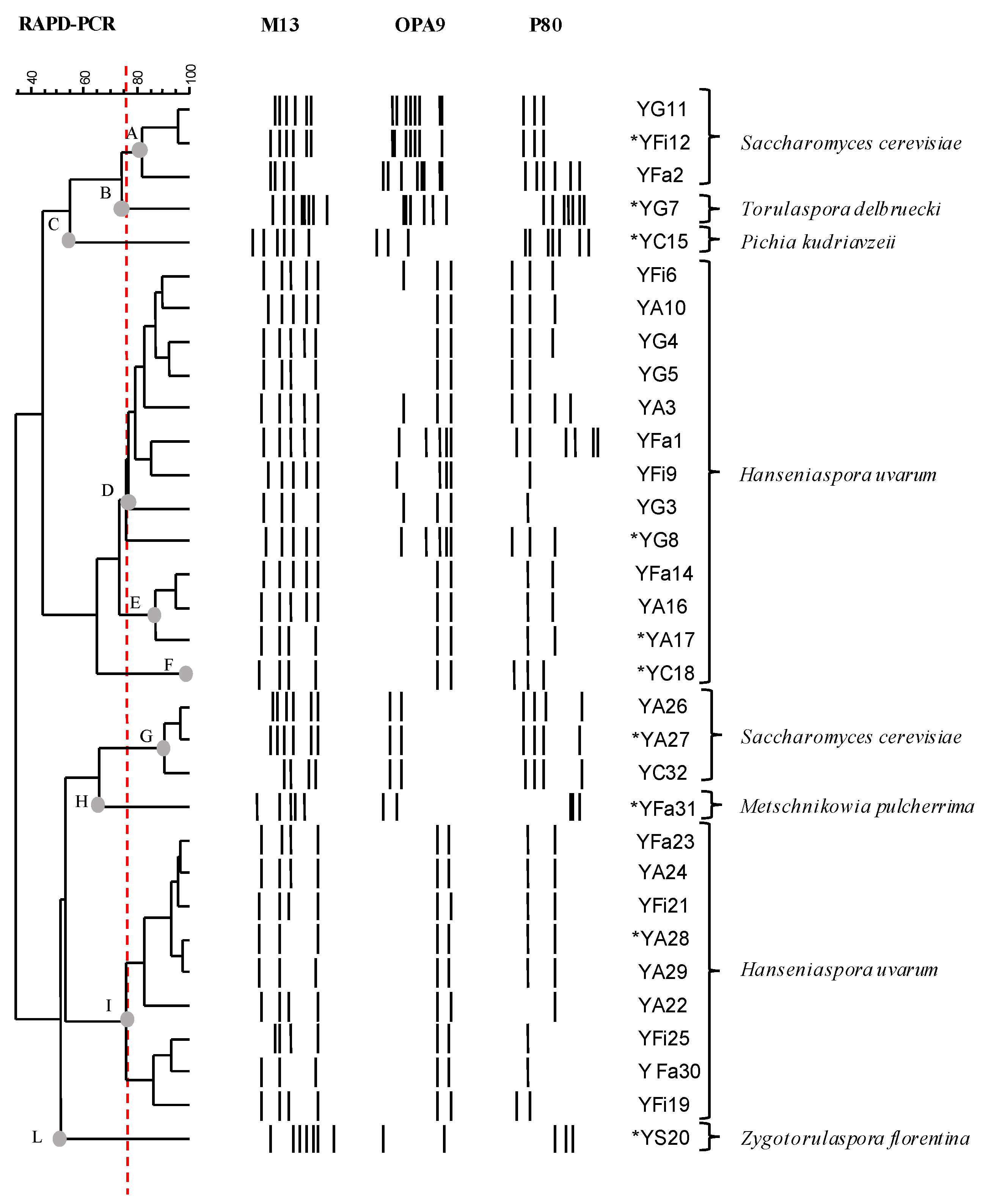 Microorganisms 10 01849 g001