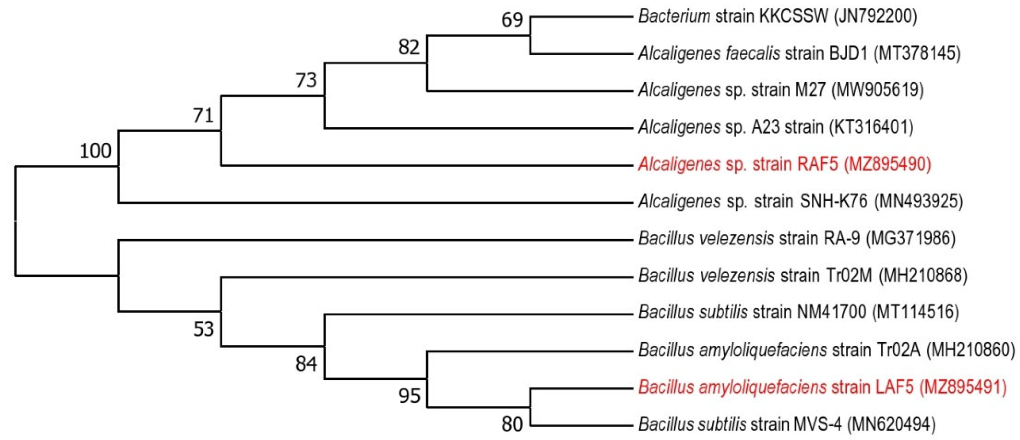 Microorganisms 10 01850 g002 550