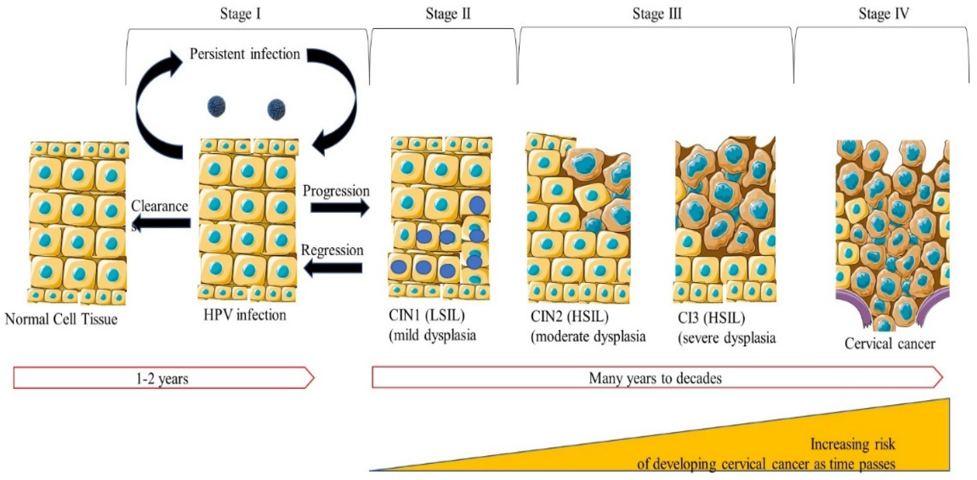 Microorganisms 10 01852 g002
