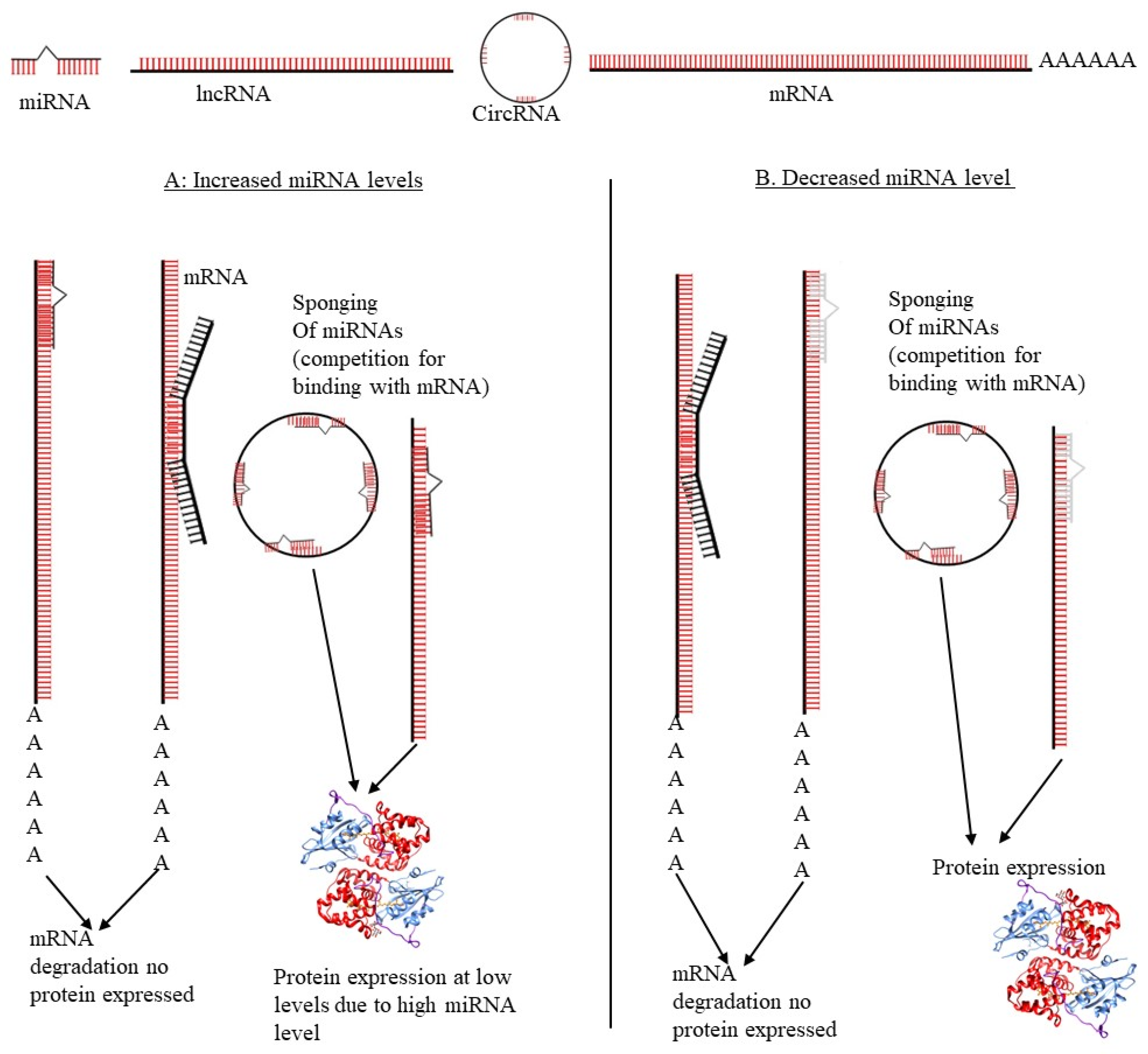 Microorganisms 10 01852 g003