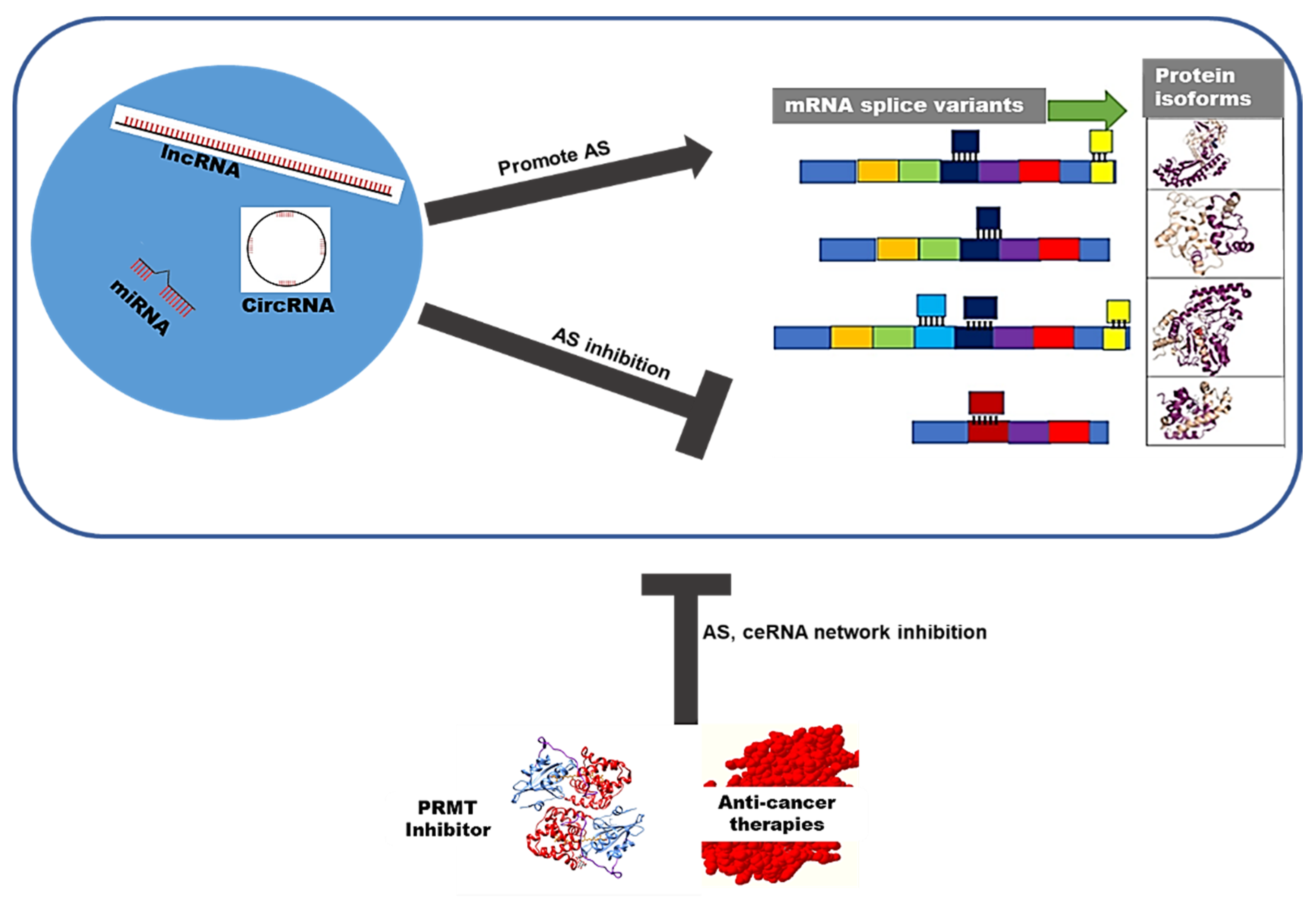 Microorganisms 10 01852 g005