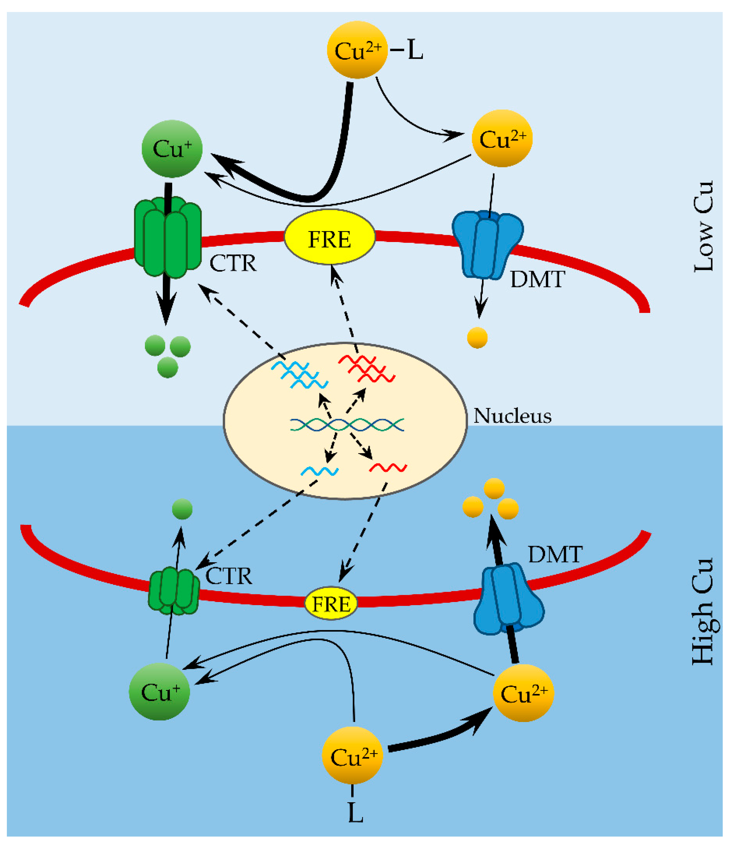 Microorganisms 10 01853 g001