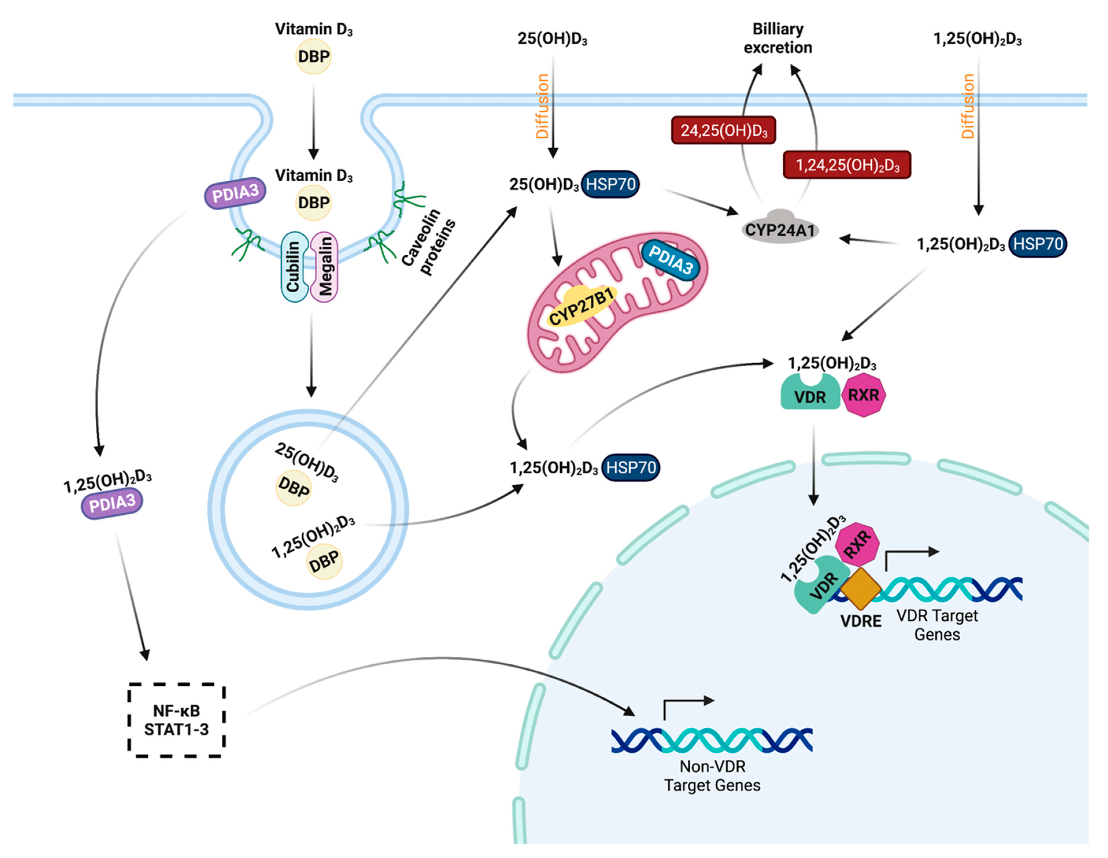 Microorganisms 10 01865 g002 Microorganisms 10 01865 g002