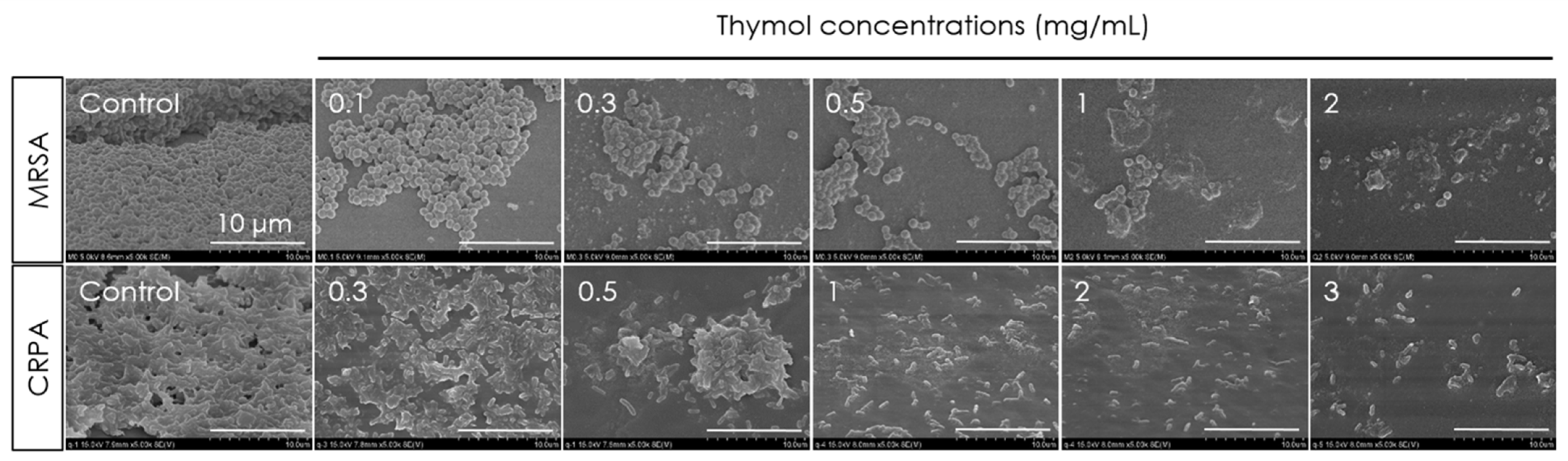 Microorganisms 10 01867 g006