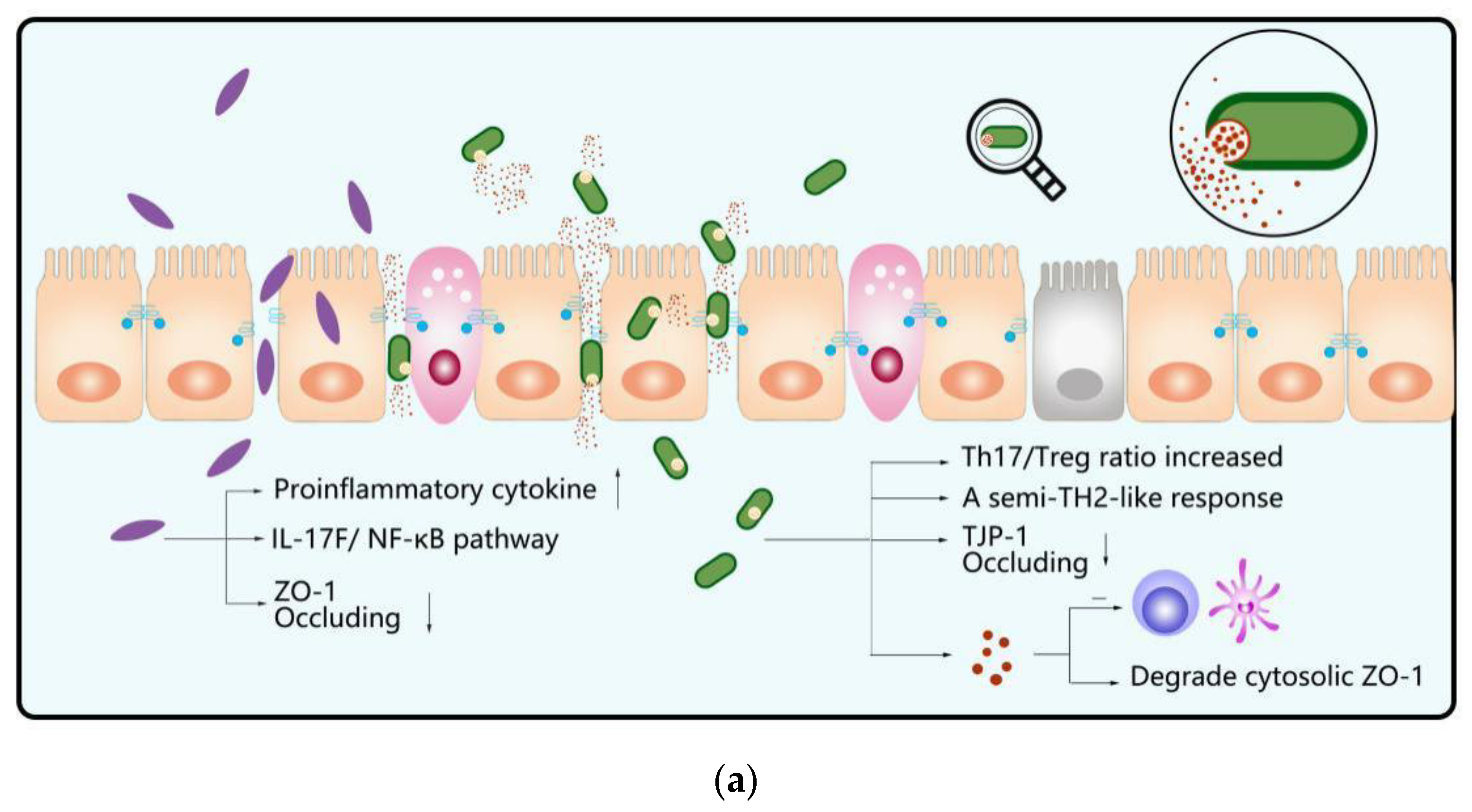 Microorganisms 10 01868 g003a Microorganisms 10 01868 g003a