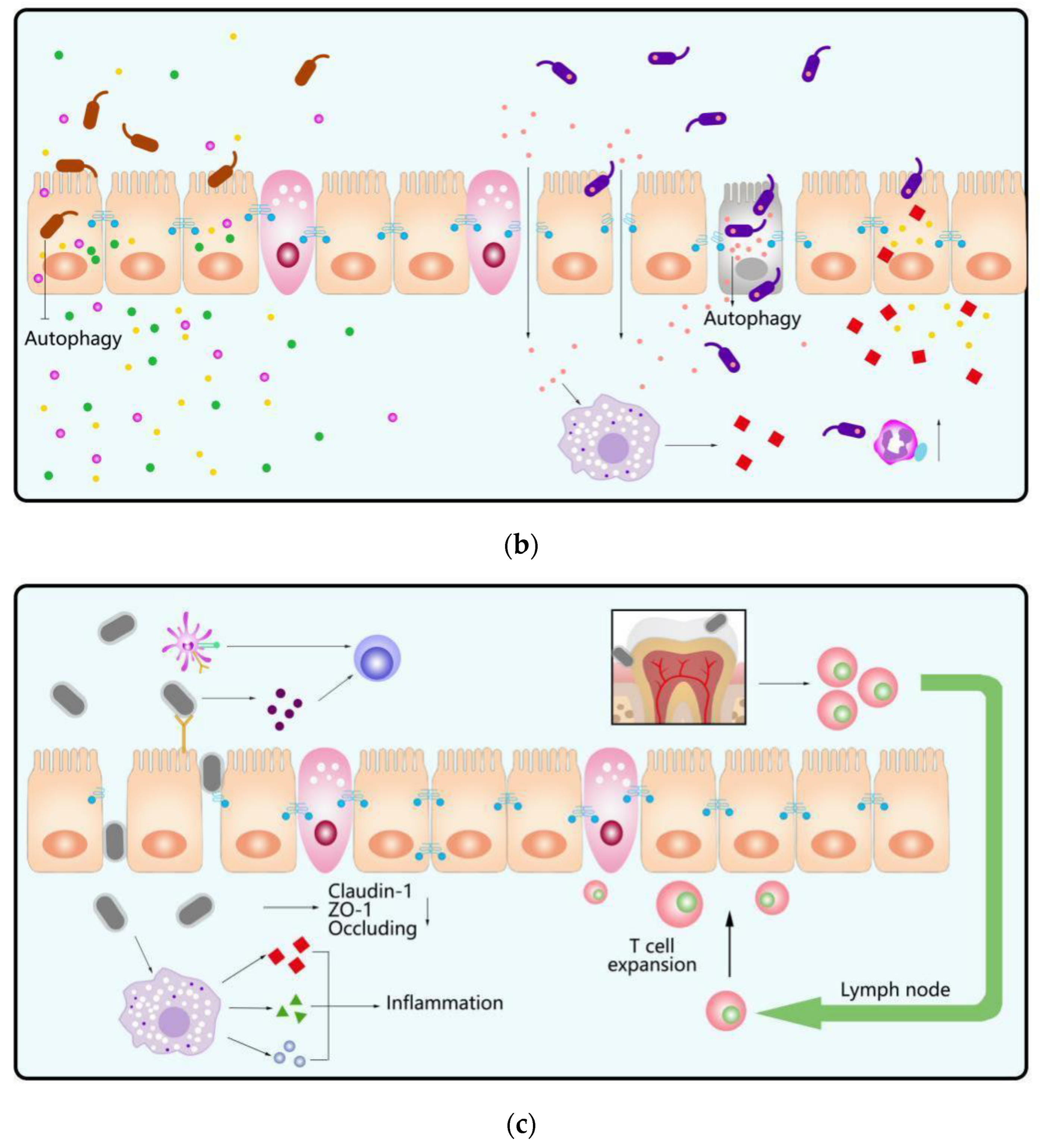 Microorganisms 10 01868 g003b Microorganisms 10 01868 g003b