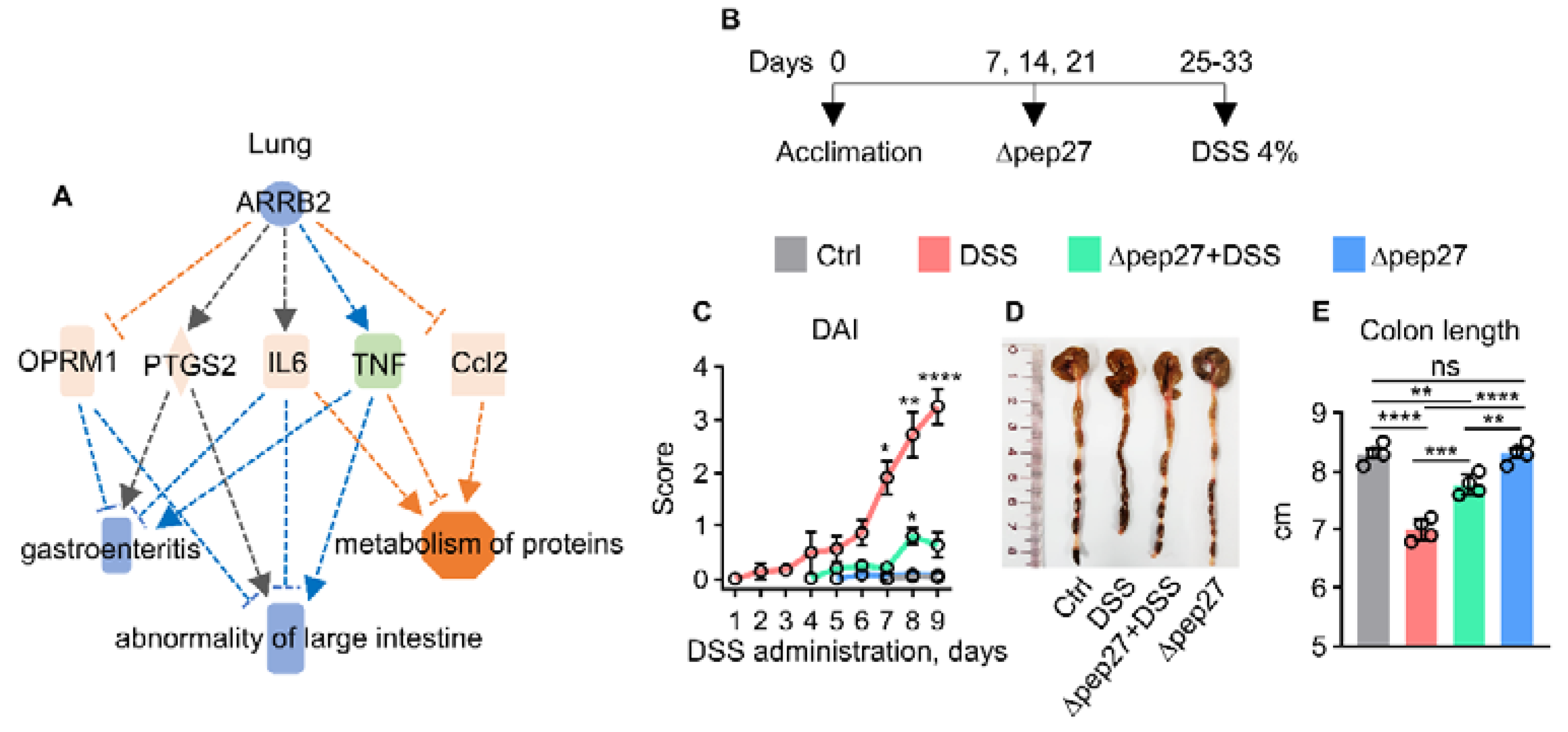 Microorganisms 10 01871 g001a Microorganisms 10 01871 g001a
