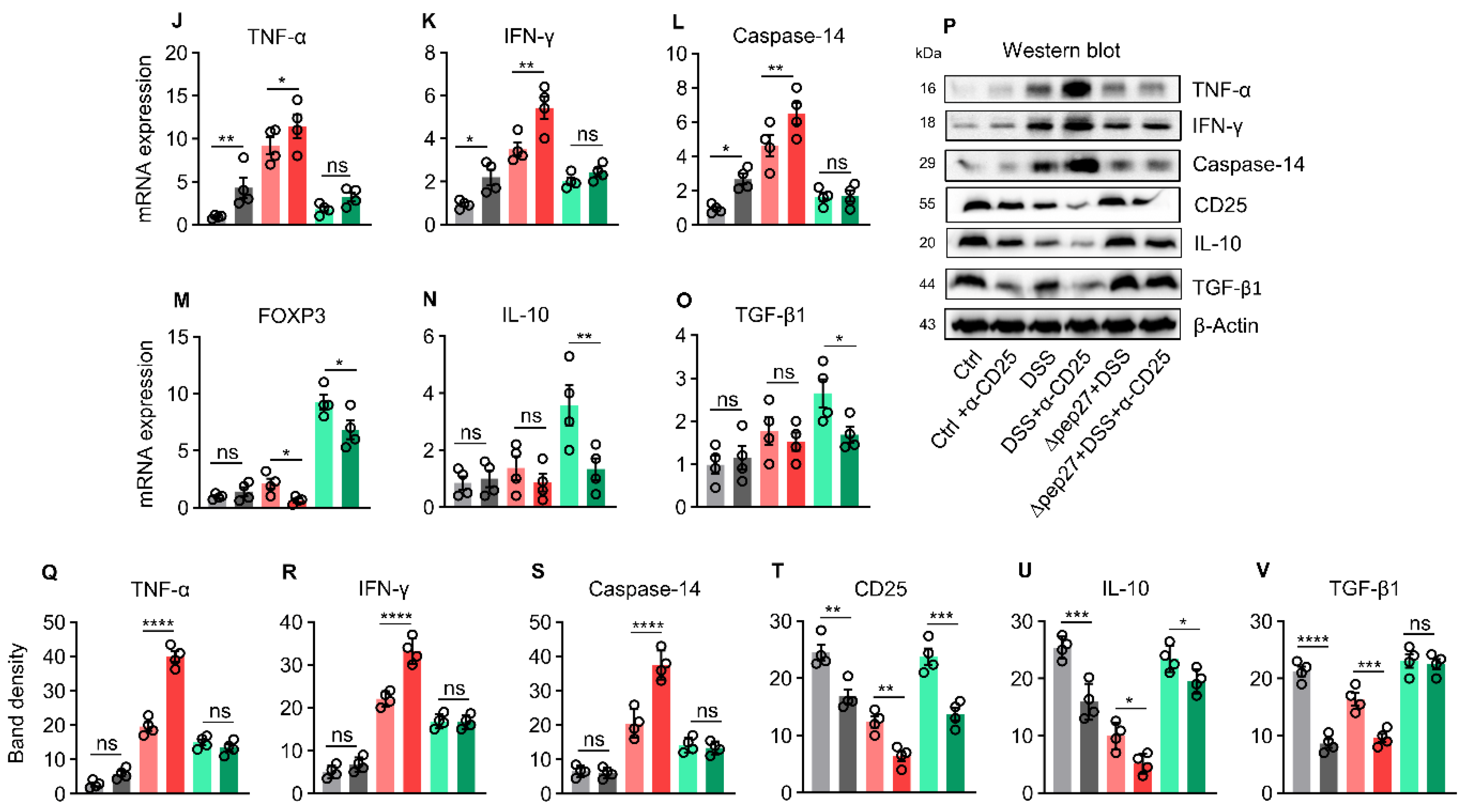 Microorganisms 10 01871 g004b Microorganisms 10 01871 g004b