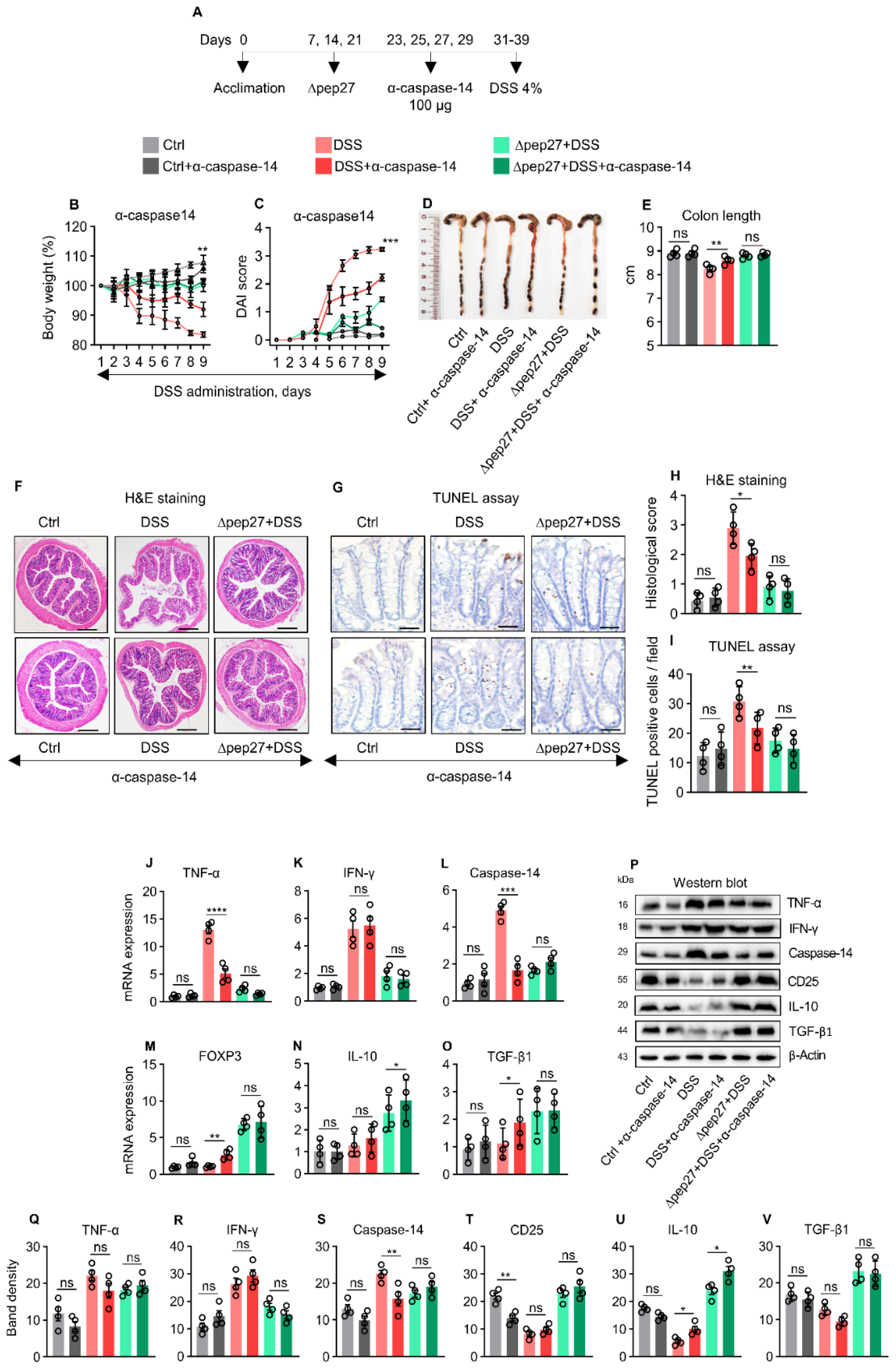 Microorganisms 10 01871 g005 Microorganisms 10 01871 g005