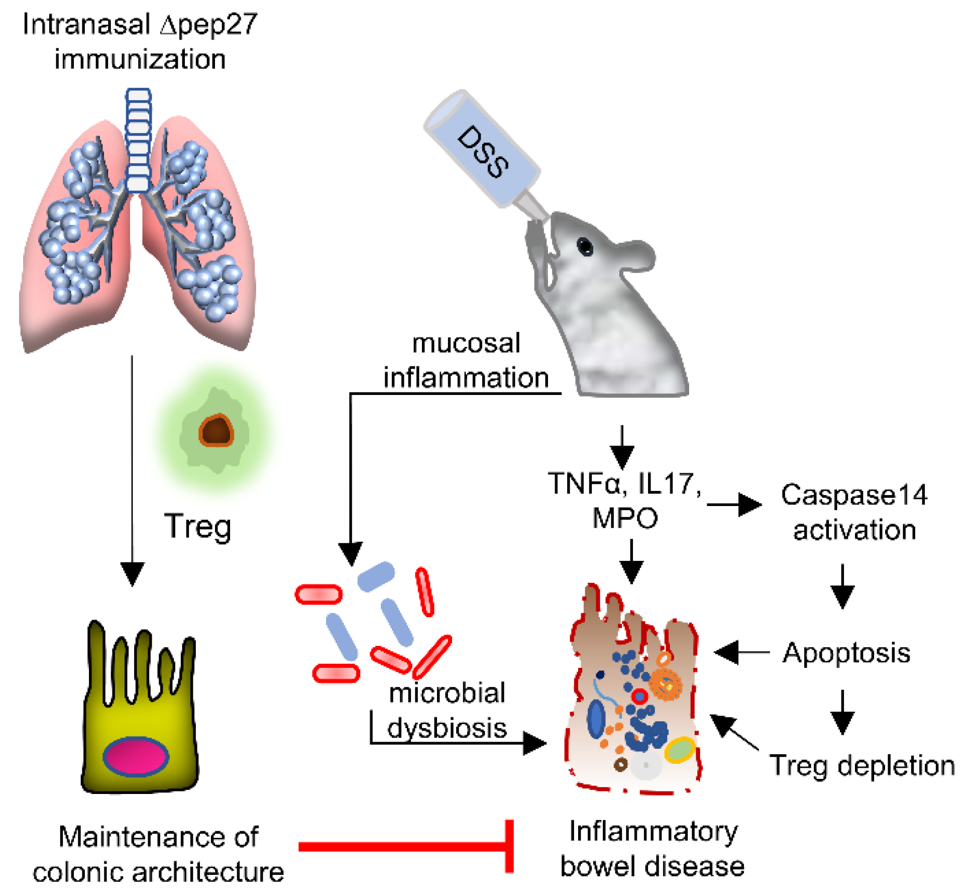 Microorganisms 10 01871 g006 Microorganisms 10 01871 g006