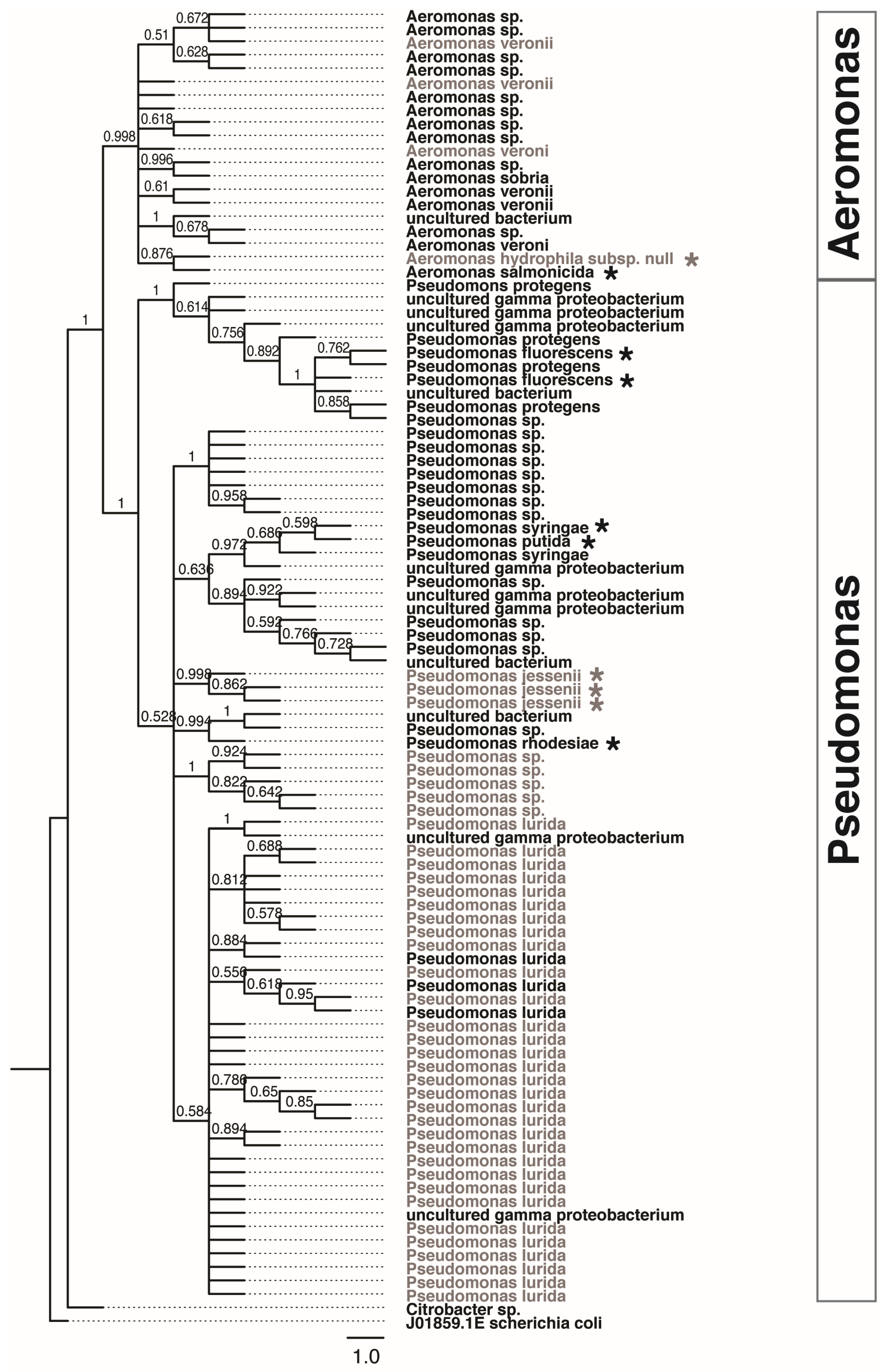 Microorganisms 10 01872 g007 Microorganisms 10 01872 g007